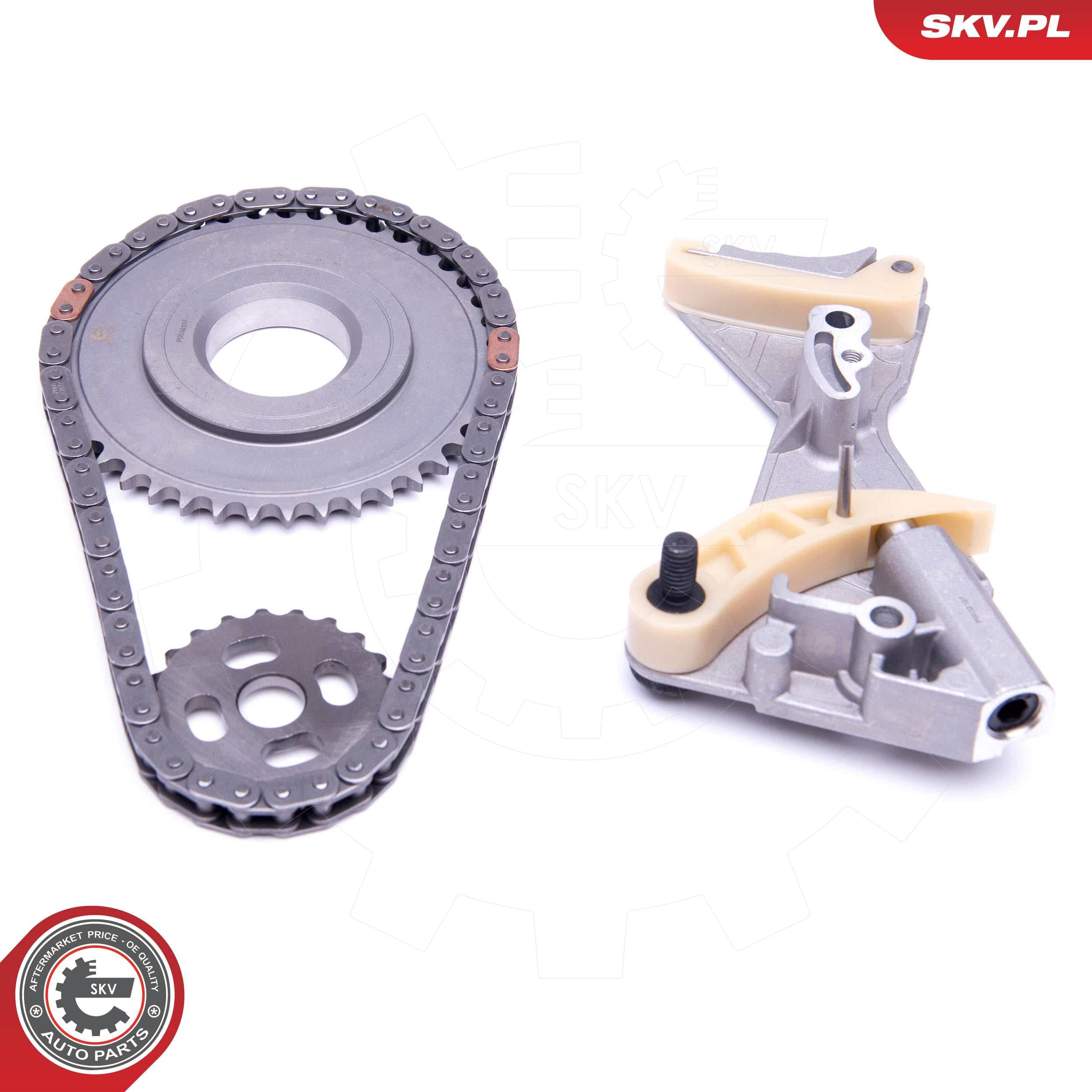 Image of Chaîne Huile Pompe Lecteur ; AUDI SKODA VW  ; 