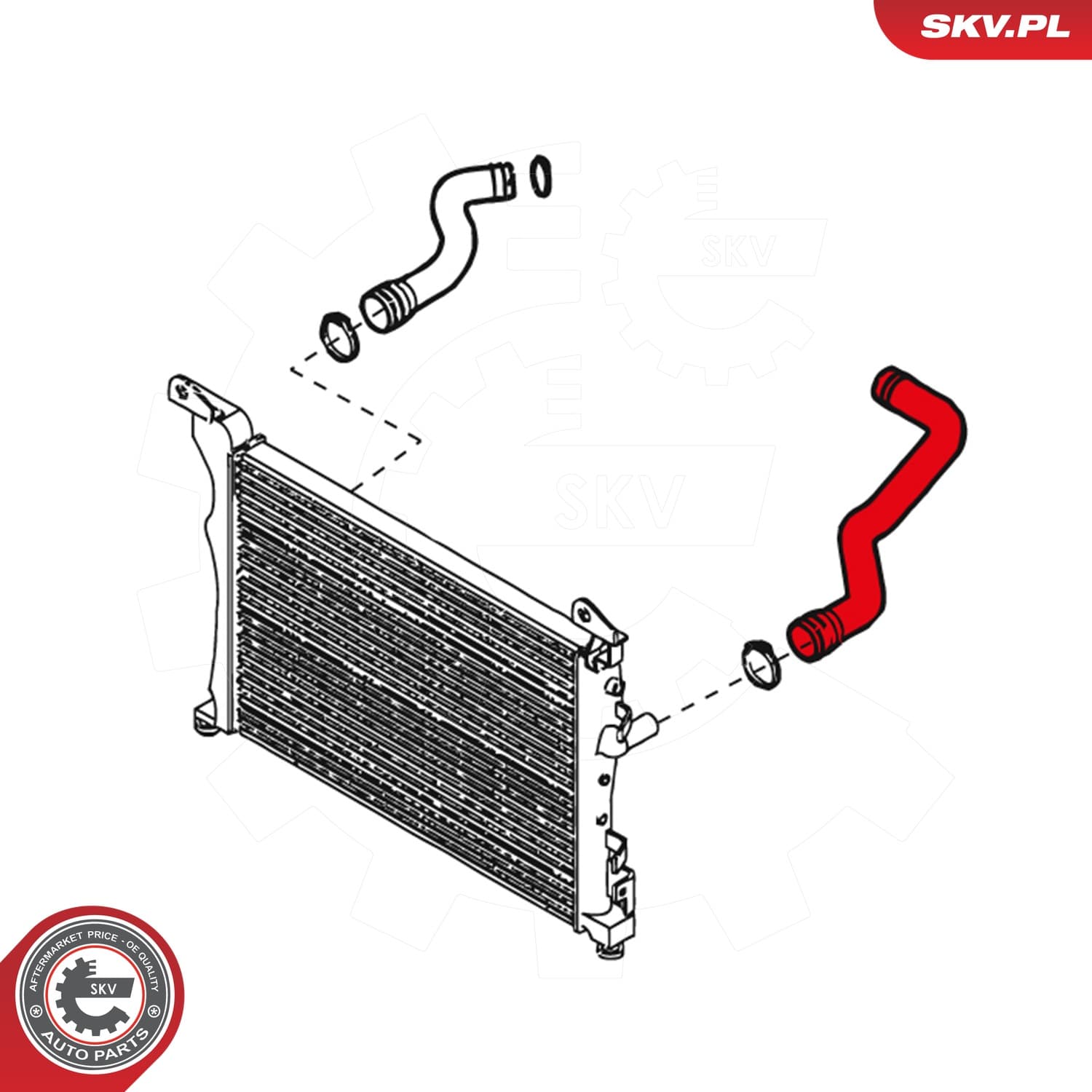 Image of Durite de radiateur ; ALFA ROMEO Mito FIAT Punto Grande Punto  ; 55703225