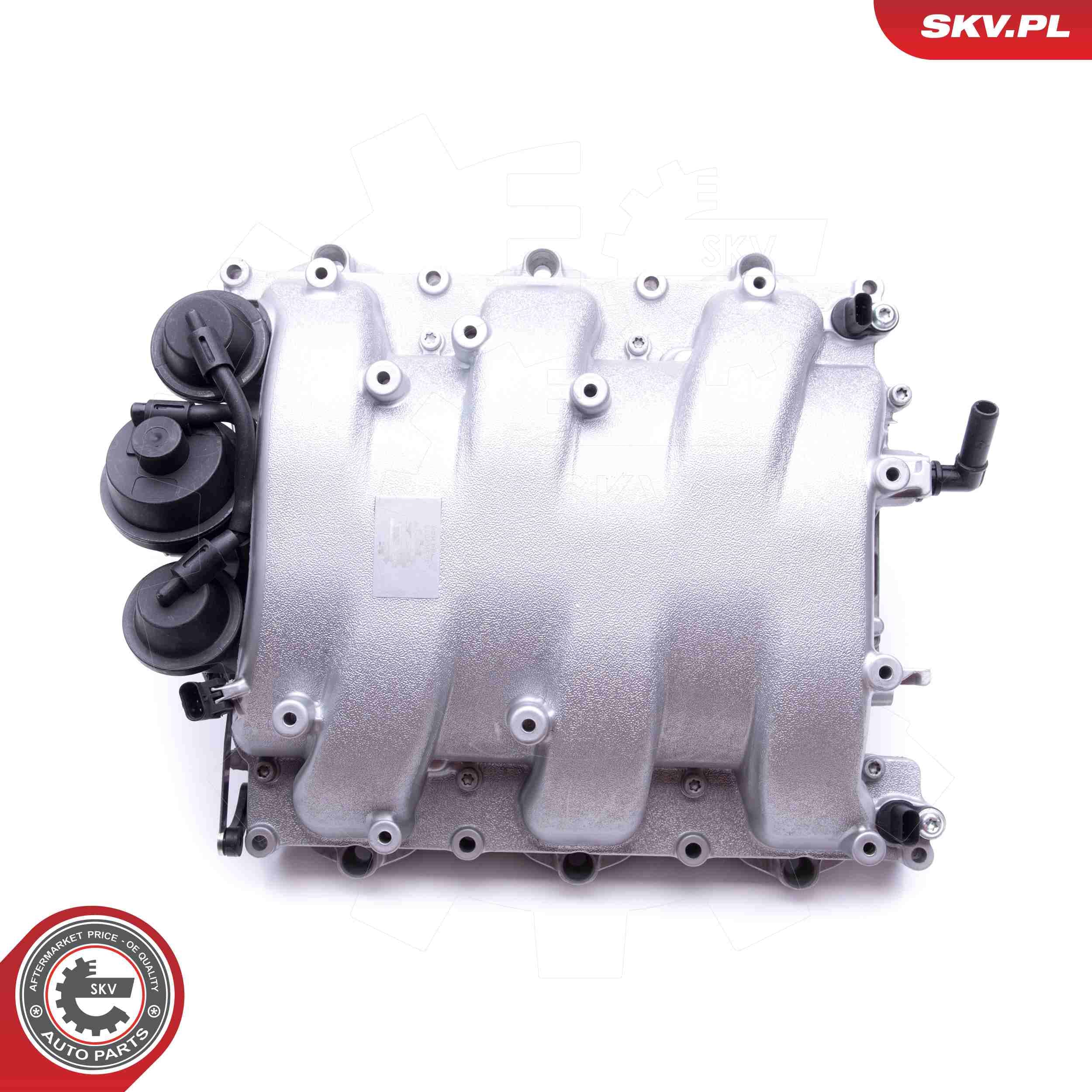 Image of Intake Manifold Module