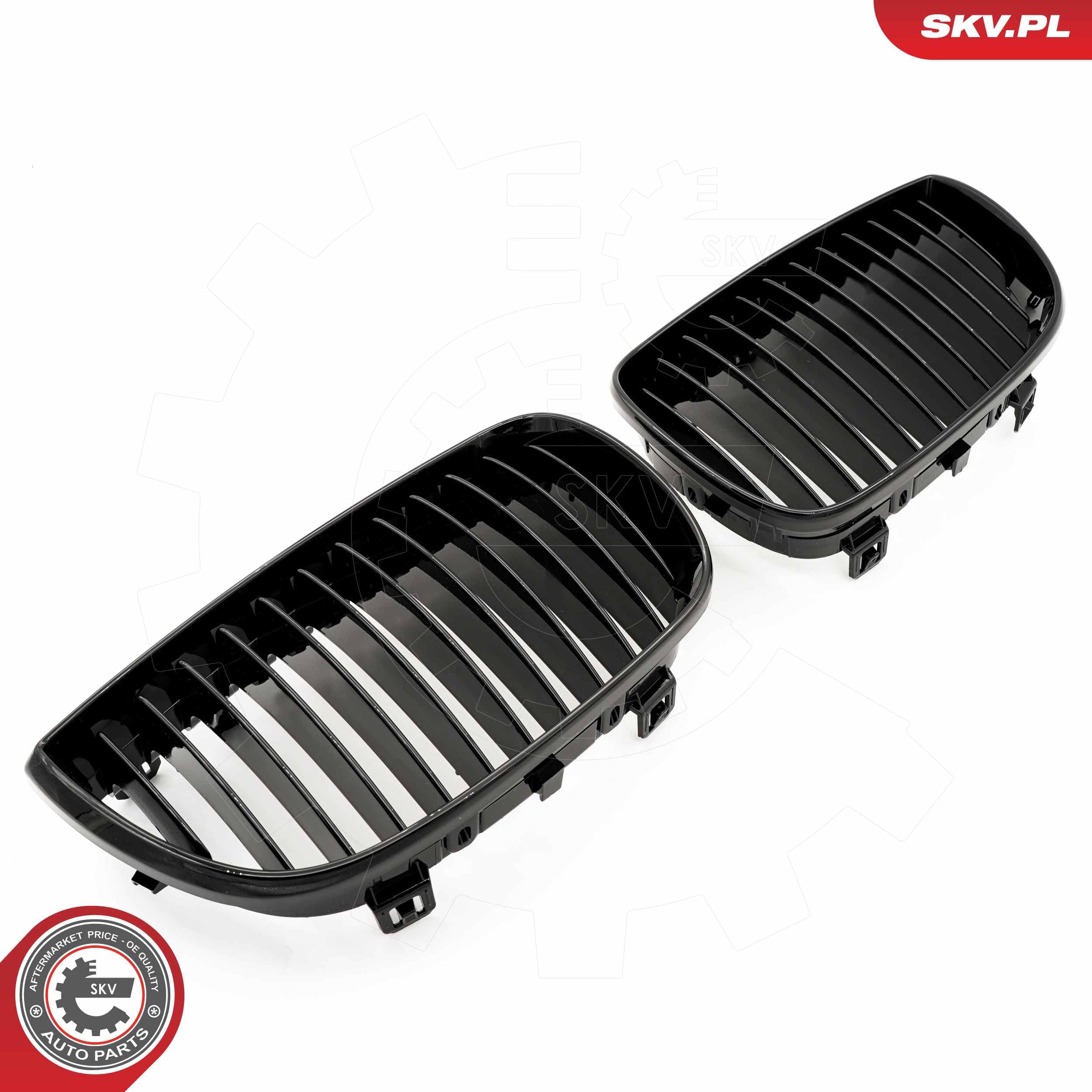 Image of Grille de radiateur ; BMW 1 E81/E87 ; 51710441921