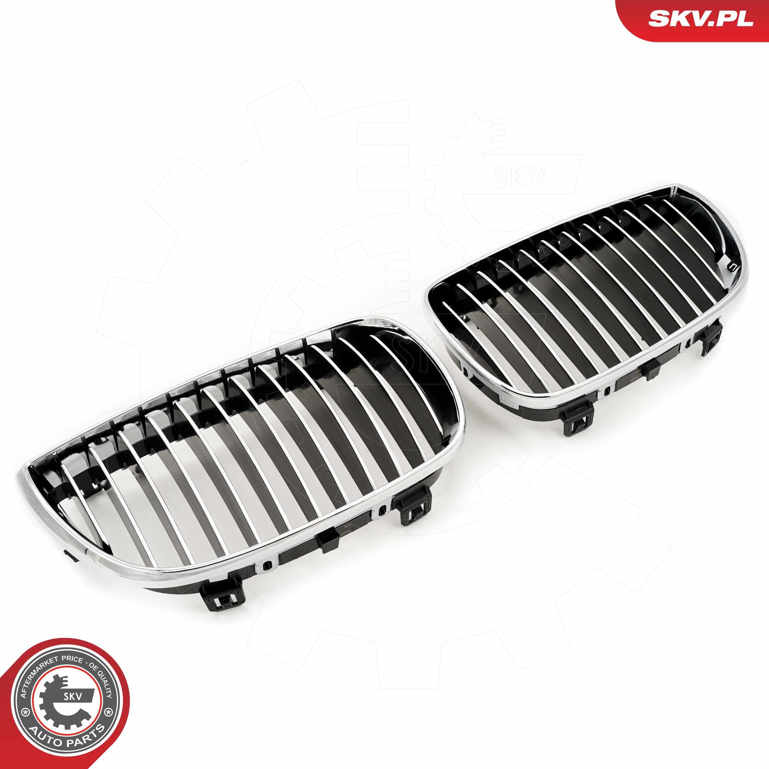 Image of Grille de radiateur ; BMW 1 E81/E87 ; 51710441921
