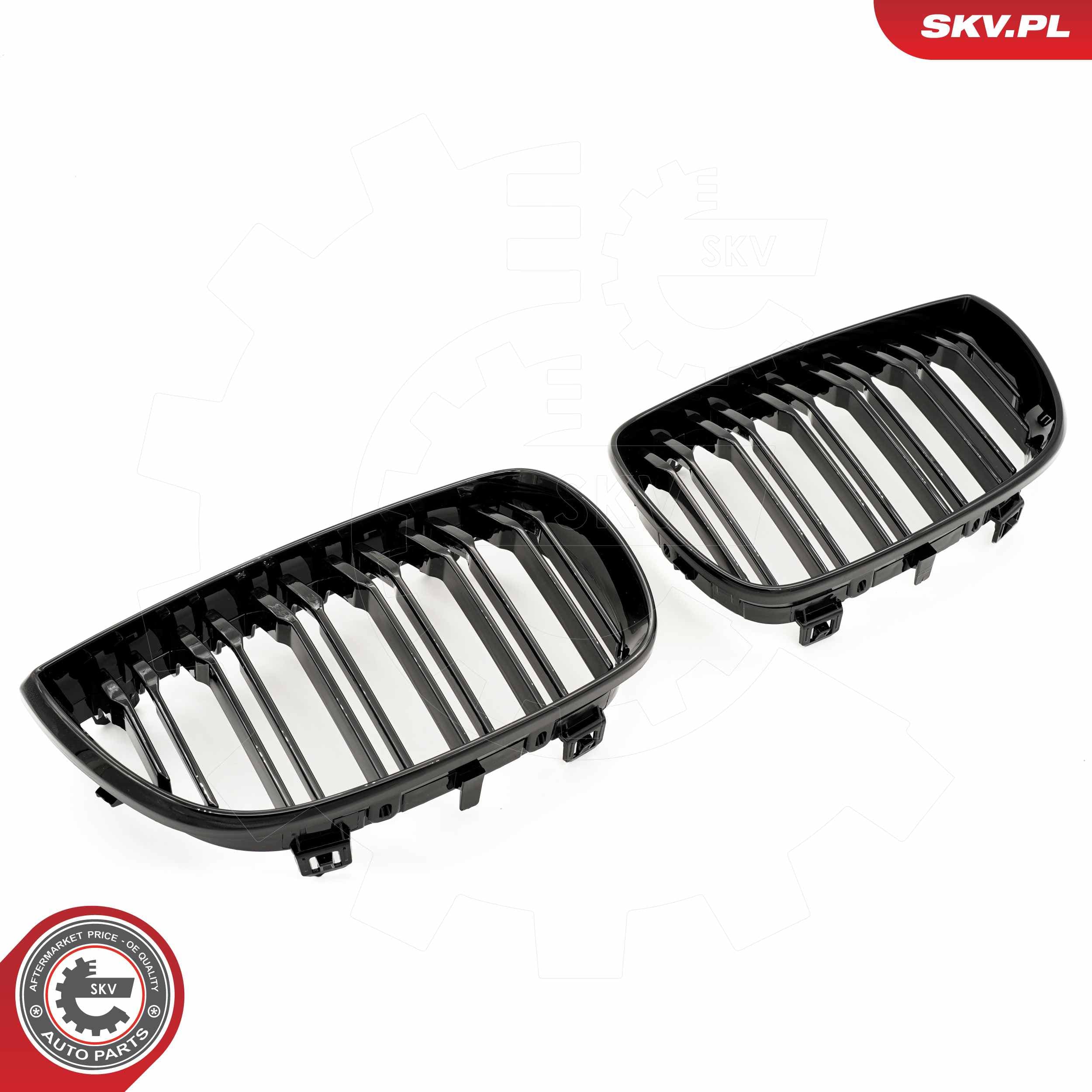 Image of Grille de radiateur ; BMW 1 E81/E87 ; 51710441921