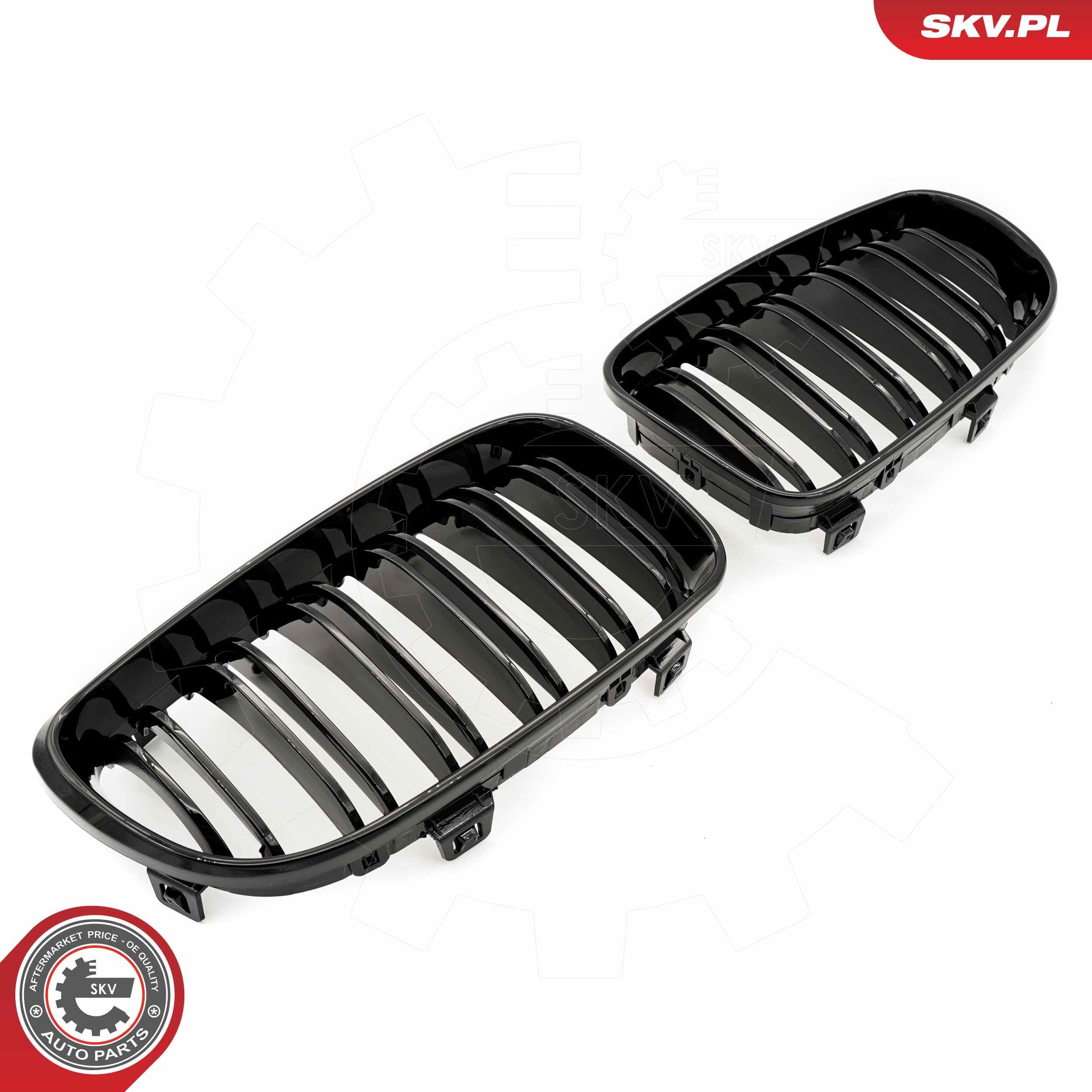Image of Grille de radiateur ; BMW 1 E81/E87 Facelift  ; 51712150366