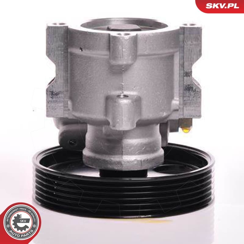 Image of Power steering pump ; CITROEN Jumpy FIAT Scudo PEUGEOT 406 Expert ; 4007W5