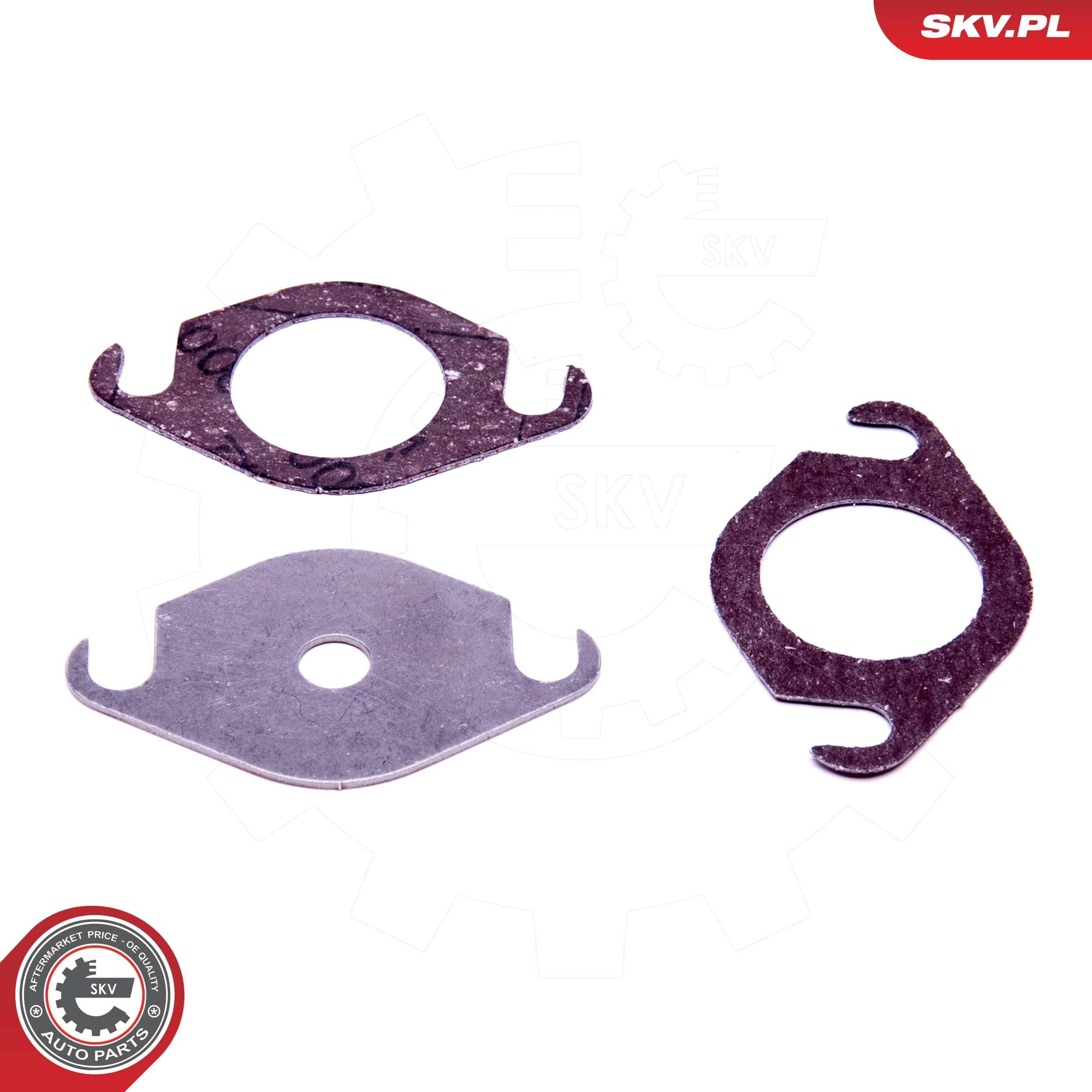 Image of EGR repair kit ; VAG 2.0 TDI