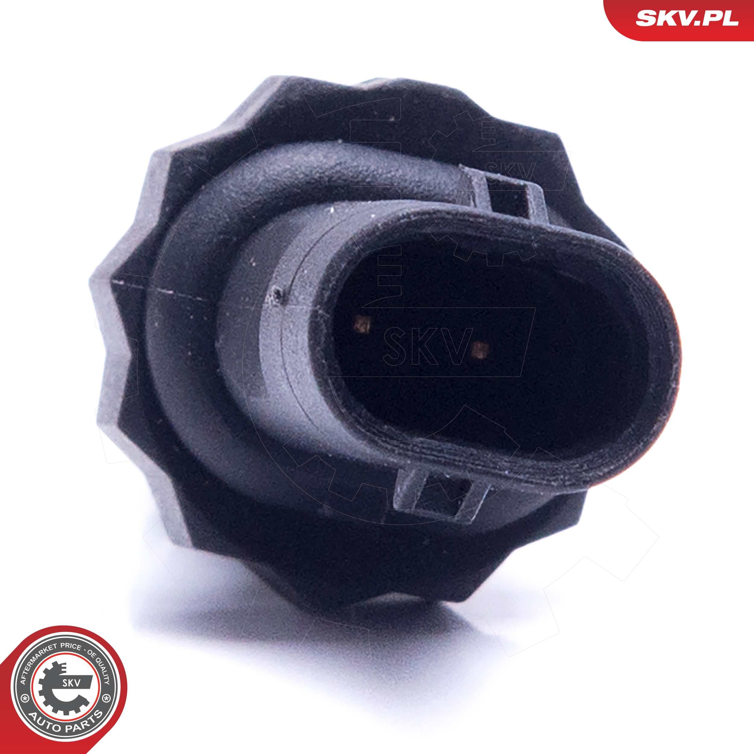 Image of Snímač teploty chladicí kapaliny ; AUDI SEAT SKODA VW ; 2 PIN ; 059919523A