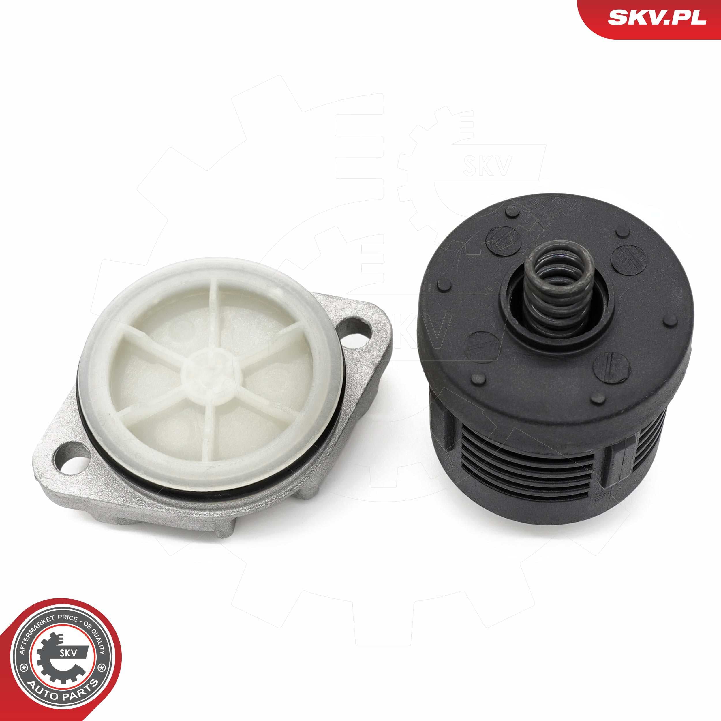 Image of Oil filter ; FORD Kuga I LAND ROVER Freelander 2 Evoque VOLVO s60 II S80 II V60 I XC60  ; 8V414A319AA