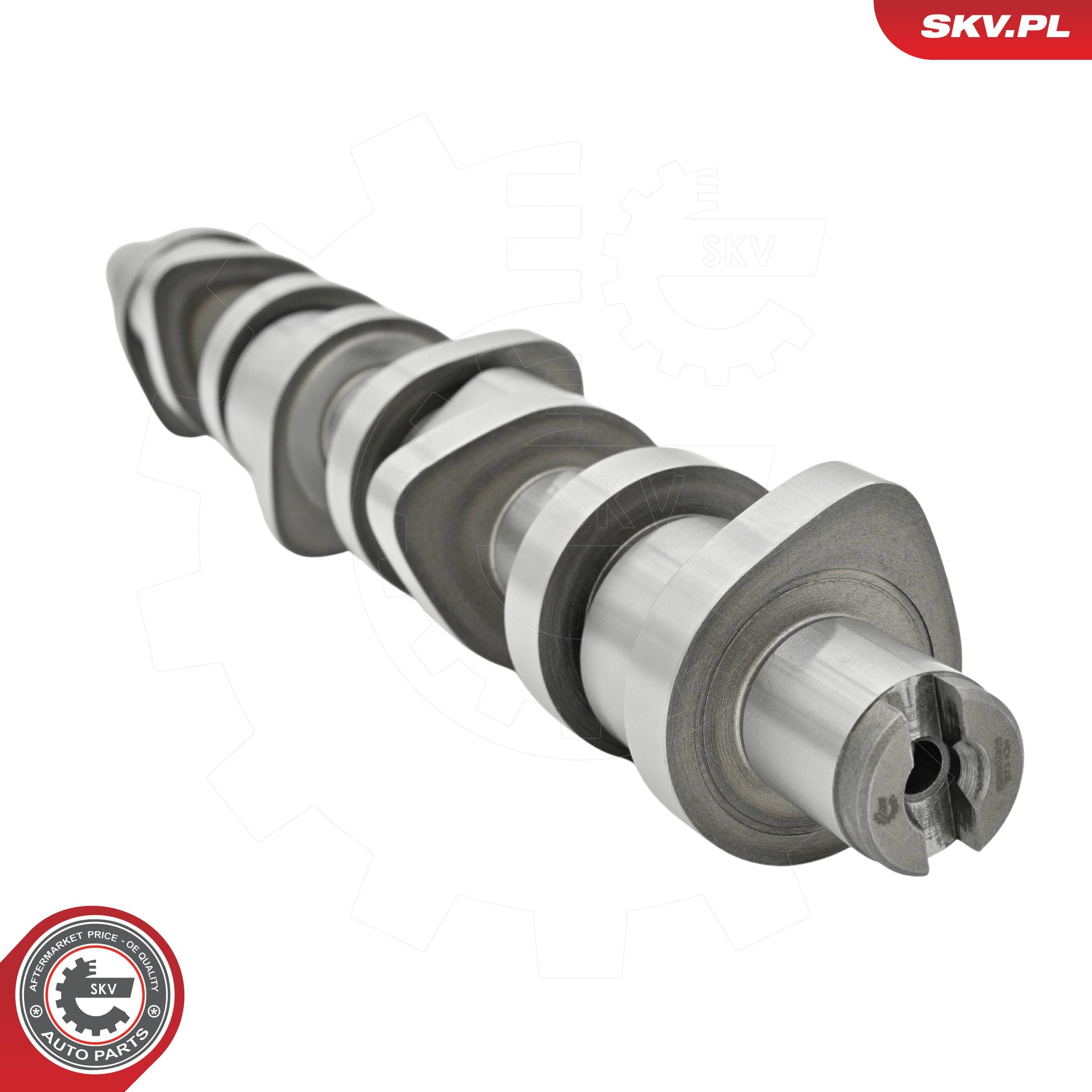 Image of Arbre à cames ; AUDI A4 B6 B7 PASSAT B5.5 ; 038109101AF