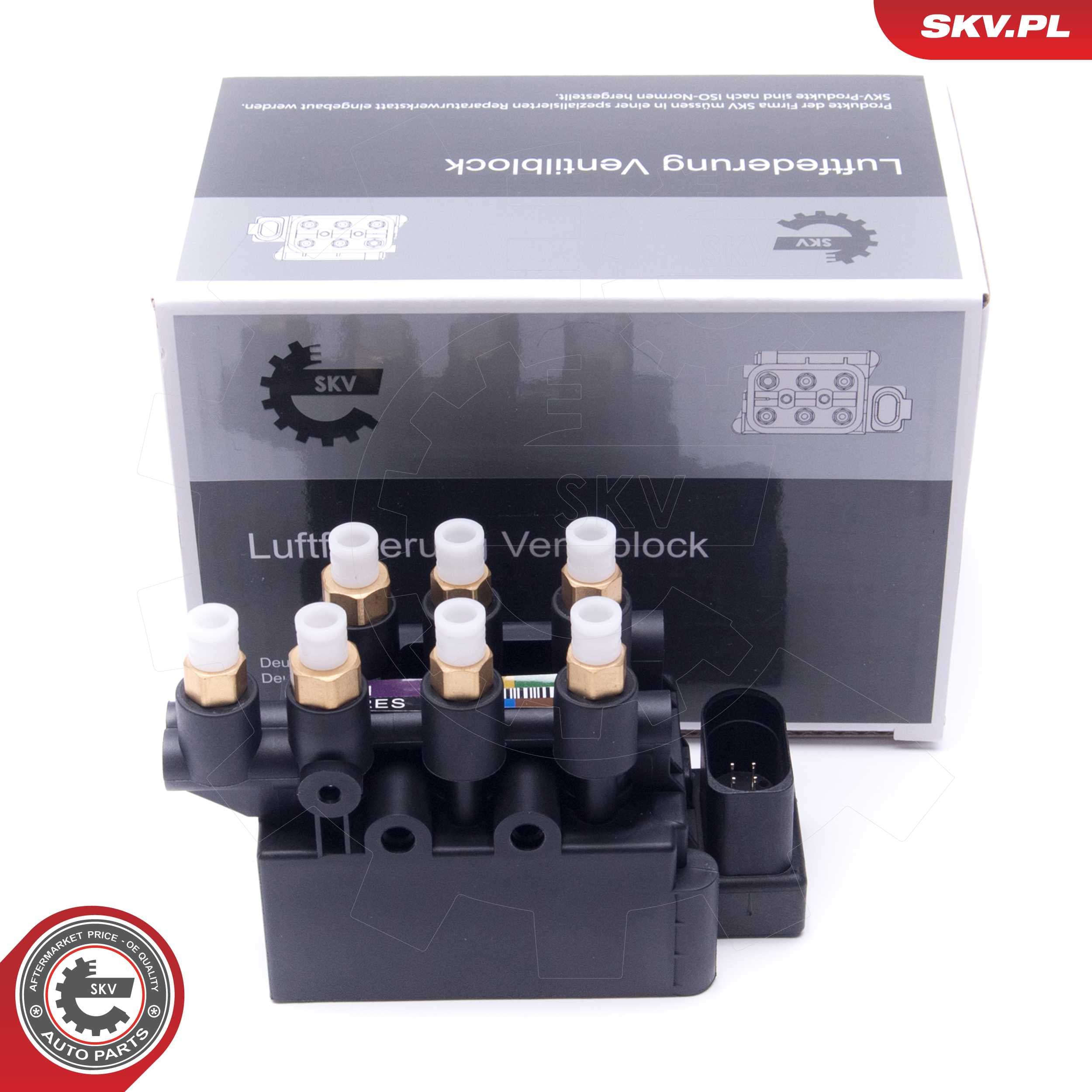 Image of Valve, Compressed-Air System ; TESLA Model S (5YJS) ; 102791900B