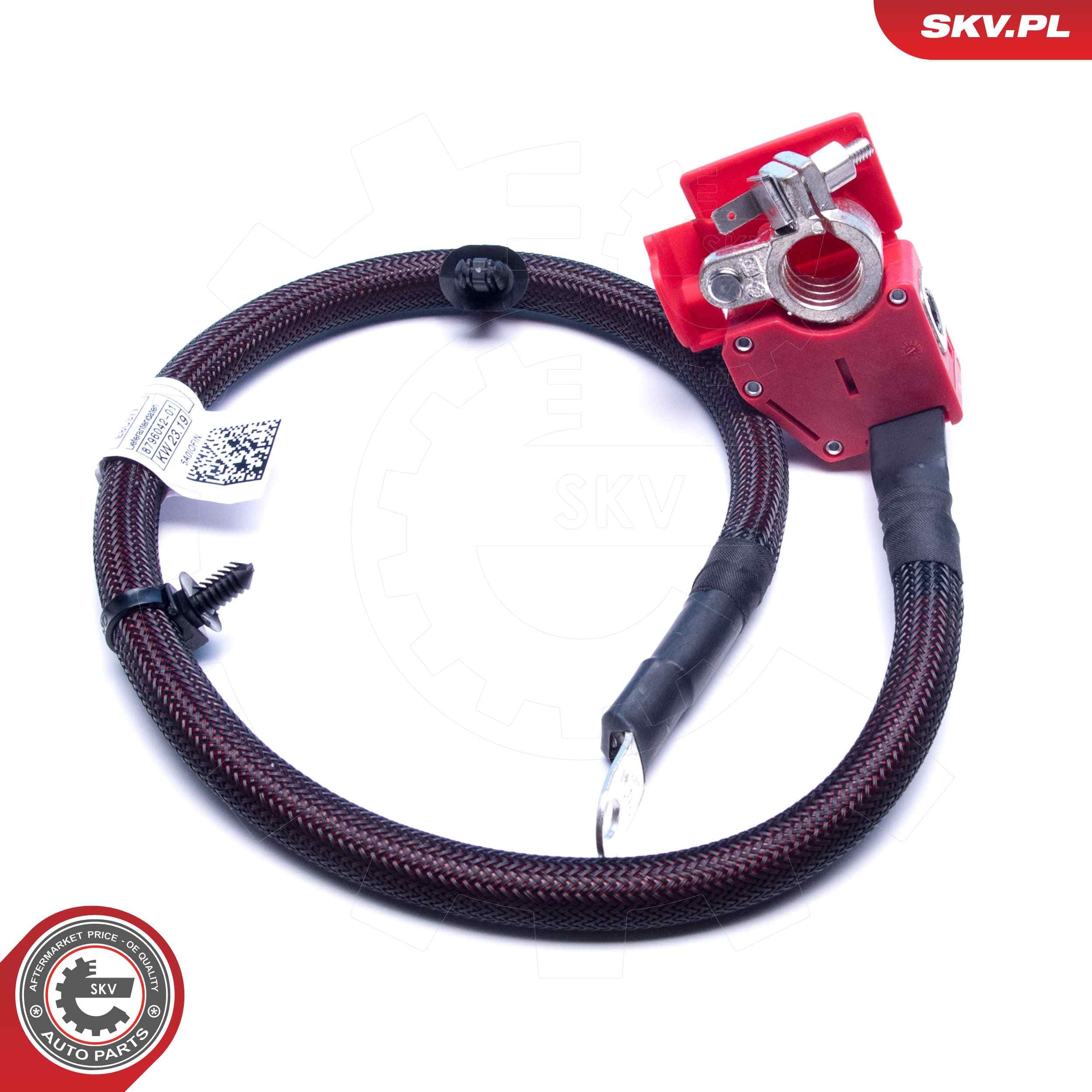 Image of Cable de batería positivo ; BMW X5 (F95, G05) X6 (F96, G06) ; 61128795485