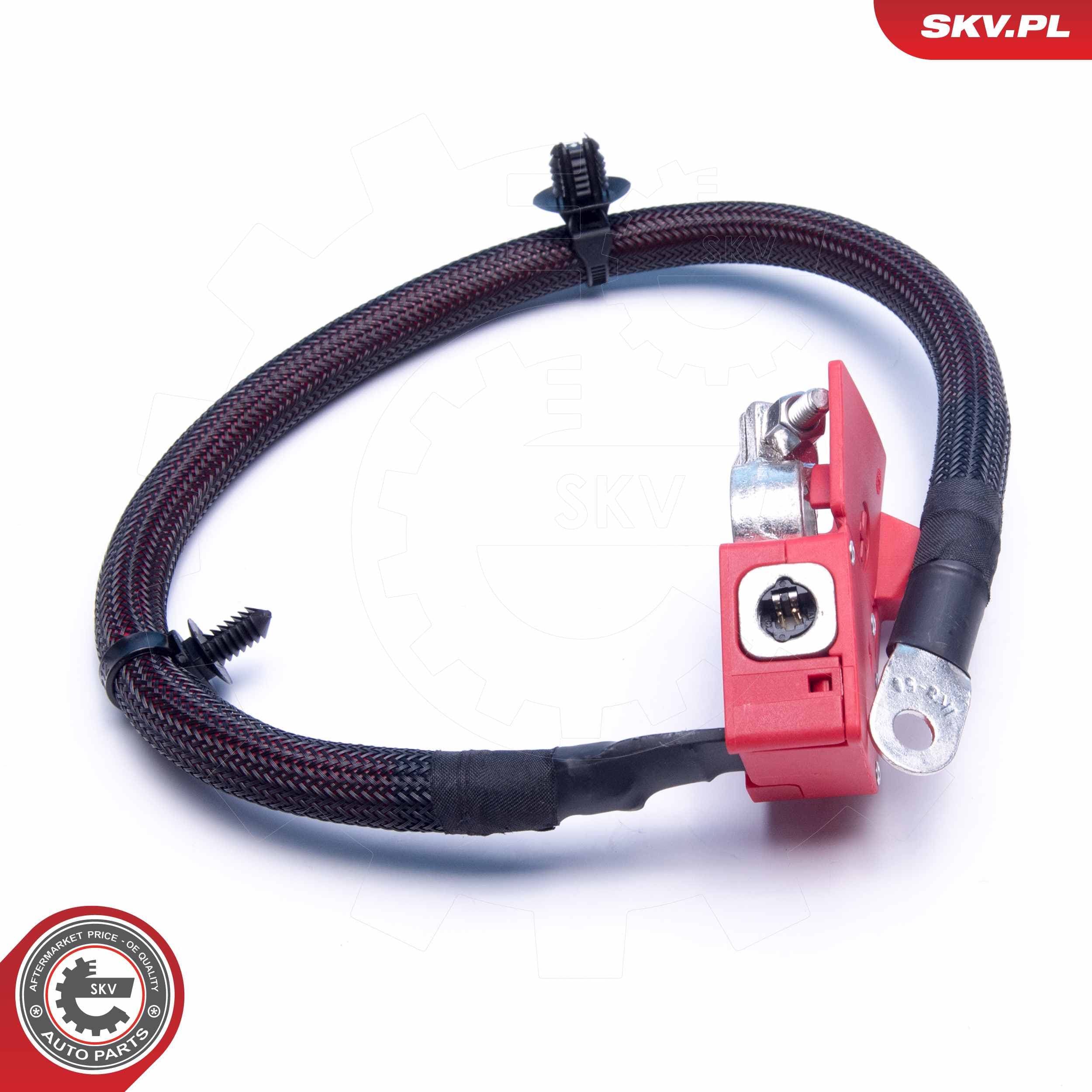 Image of Cable de batería positivo ; BMW X7 (G07) ; 61128795489