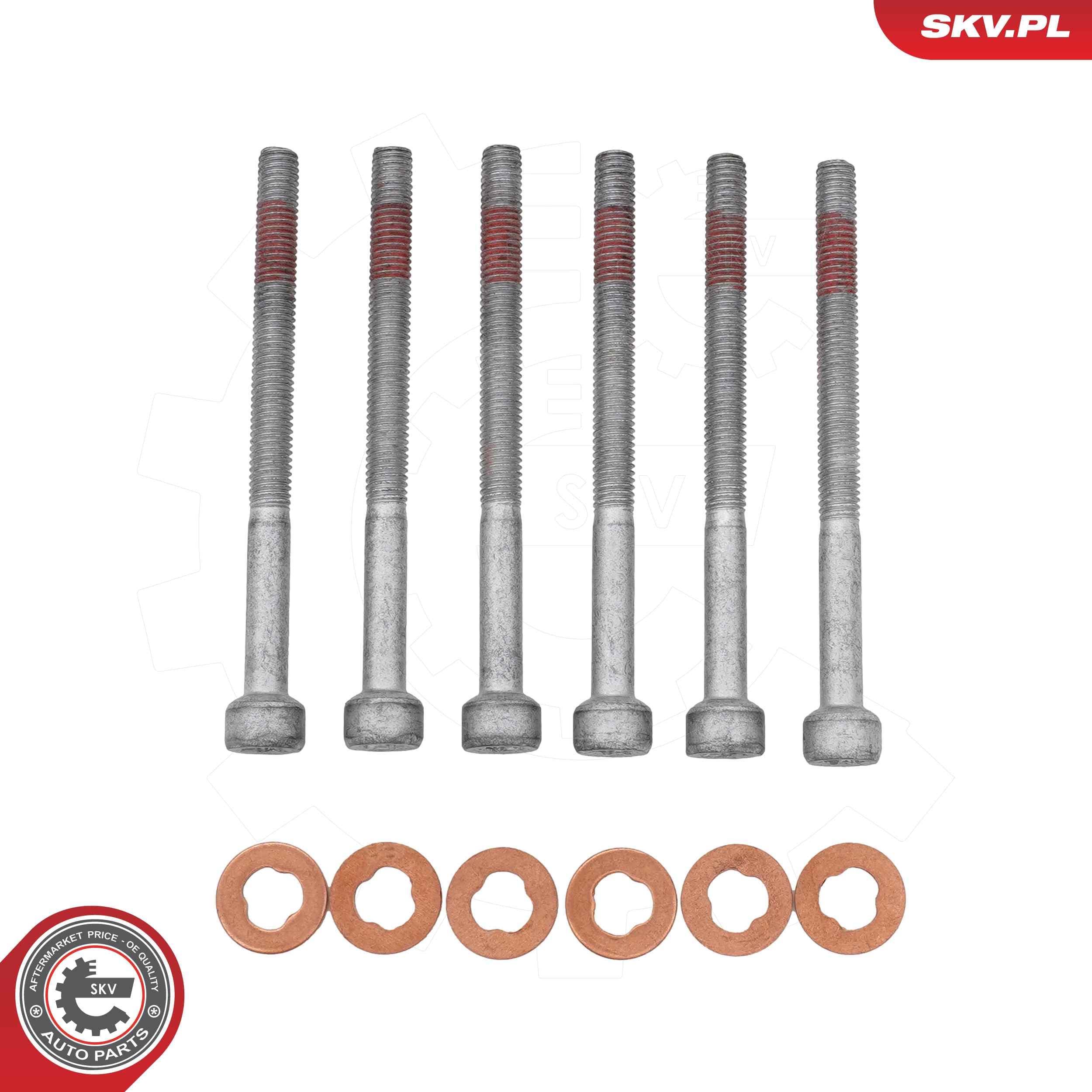 Image of Injector bolts repair kit ; MERCEDES A-klasa B-klasa C-klasa E-klasa CLC-klasa CLK S-klasa R-Klasa M-klasa GLK-klasa Sprinter ; A0009902907