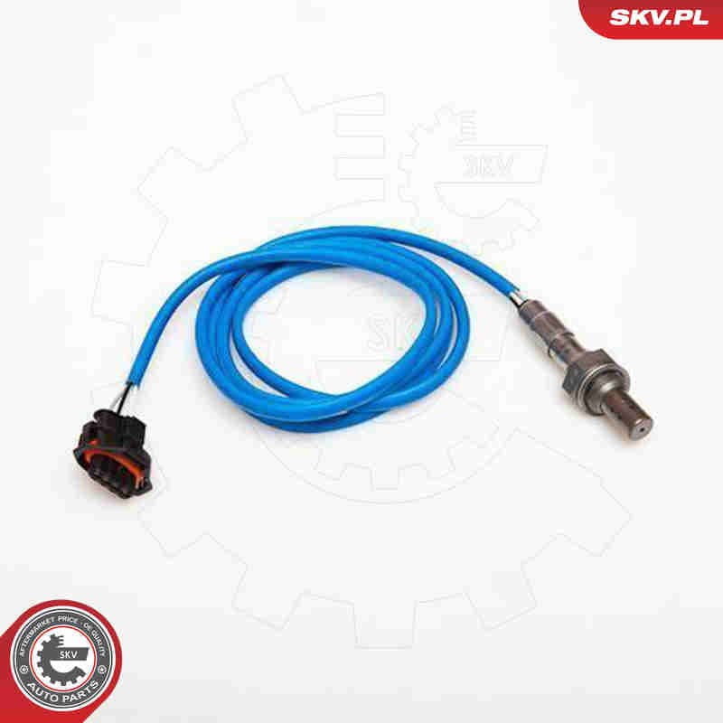 Image of Oxygen Sensor