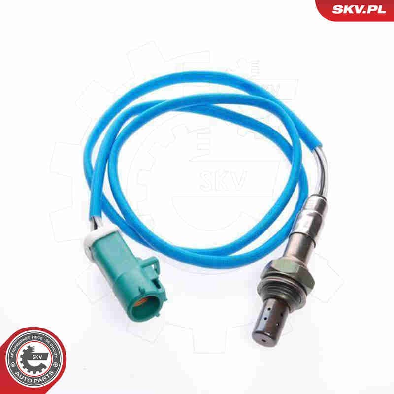 Image of Oxygen Sensor
