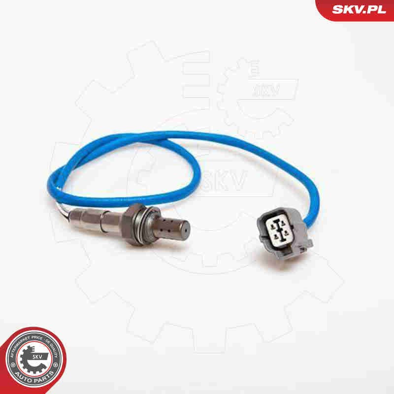 Image of Oxygen Sensor
