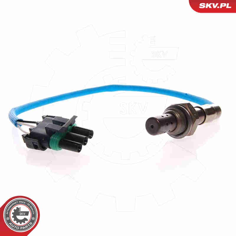 Image of Oxygen Sensor