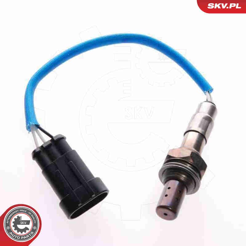 Image of Oxygen Sensor