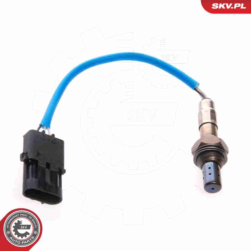 Image of Oxygen Sensor