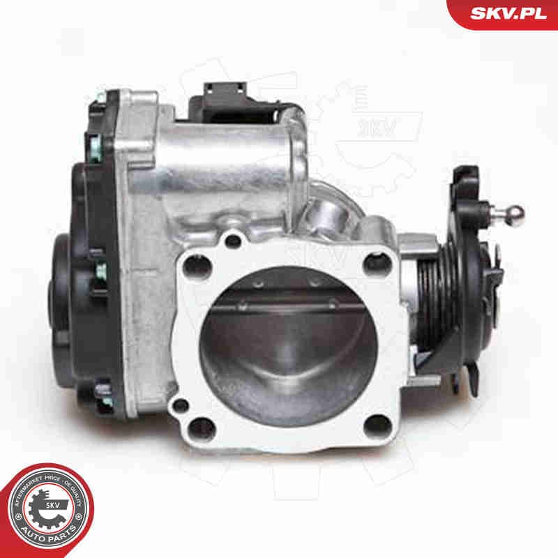 Image of Throttle Body