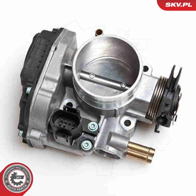 Image of Throttle Body