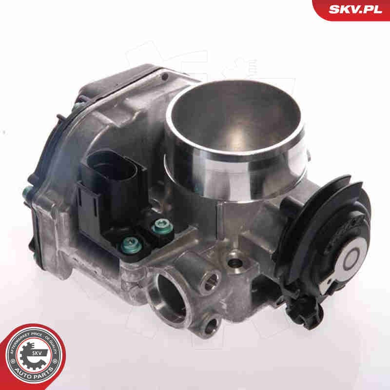 Image of Throttle Body