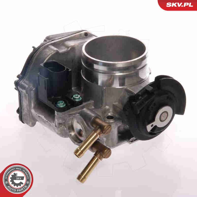 Image of Throttle Body