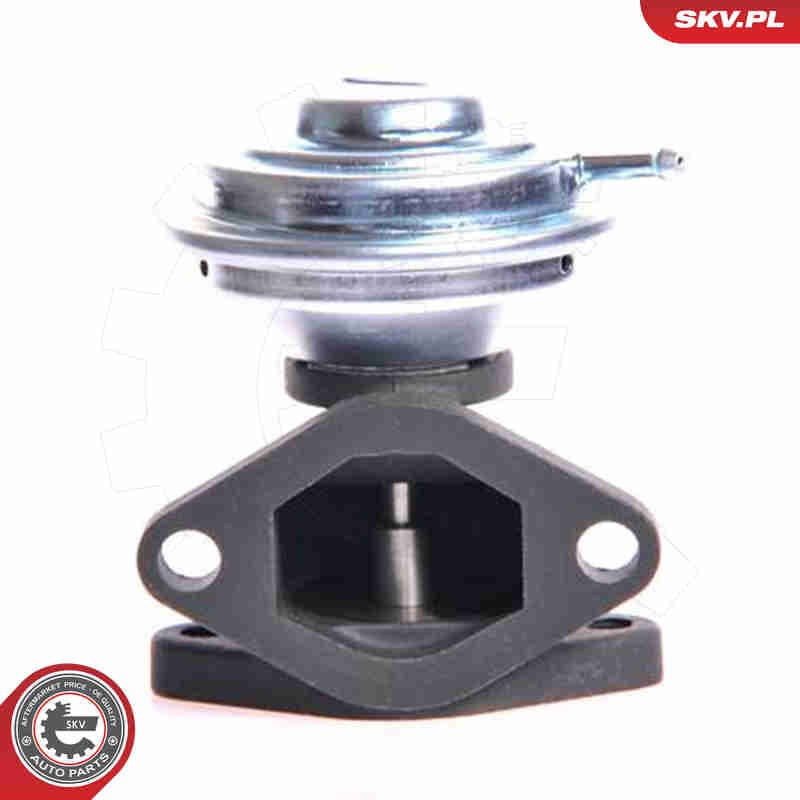 Image of EGR Valve