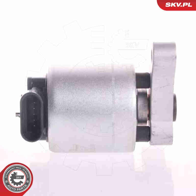 Image of EGR Valve