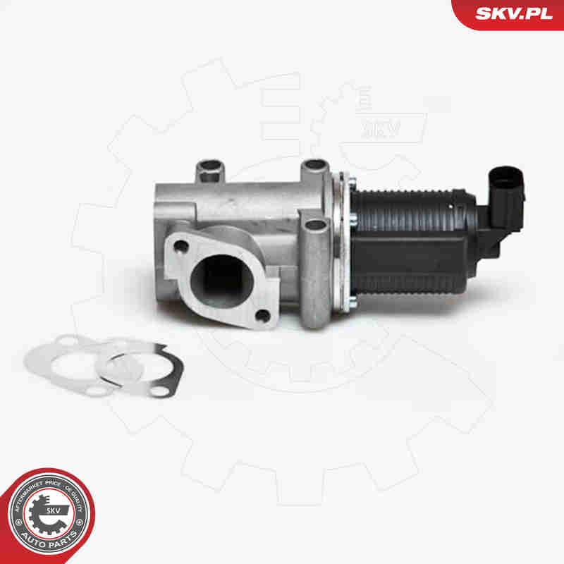 Image of EGR Valve