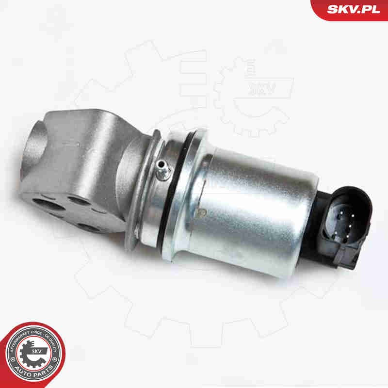Image of EGR Valve