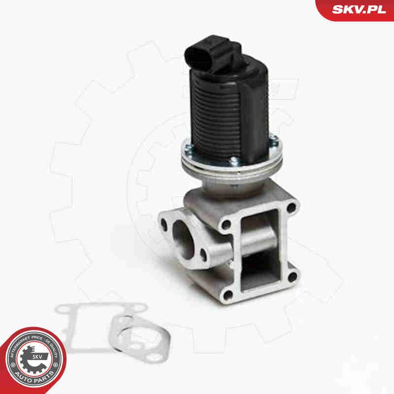Image of EGR Valve