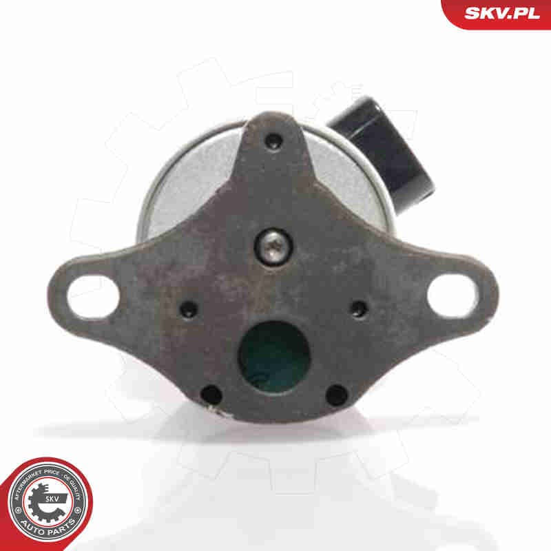 Image of EGR Valve