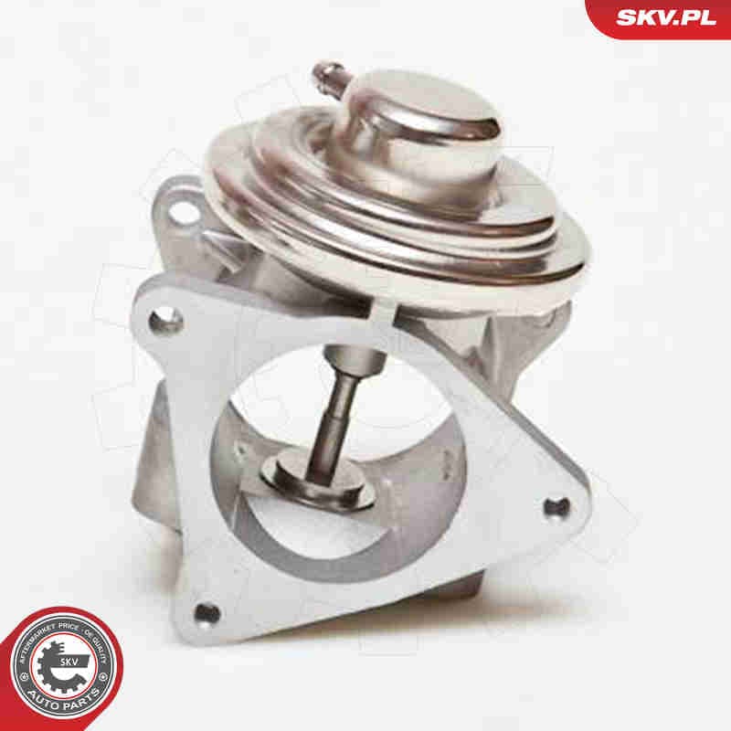 Image of EGR Valve