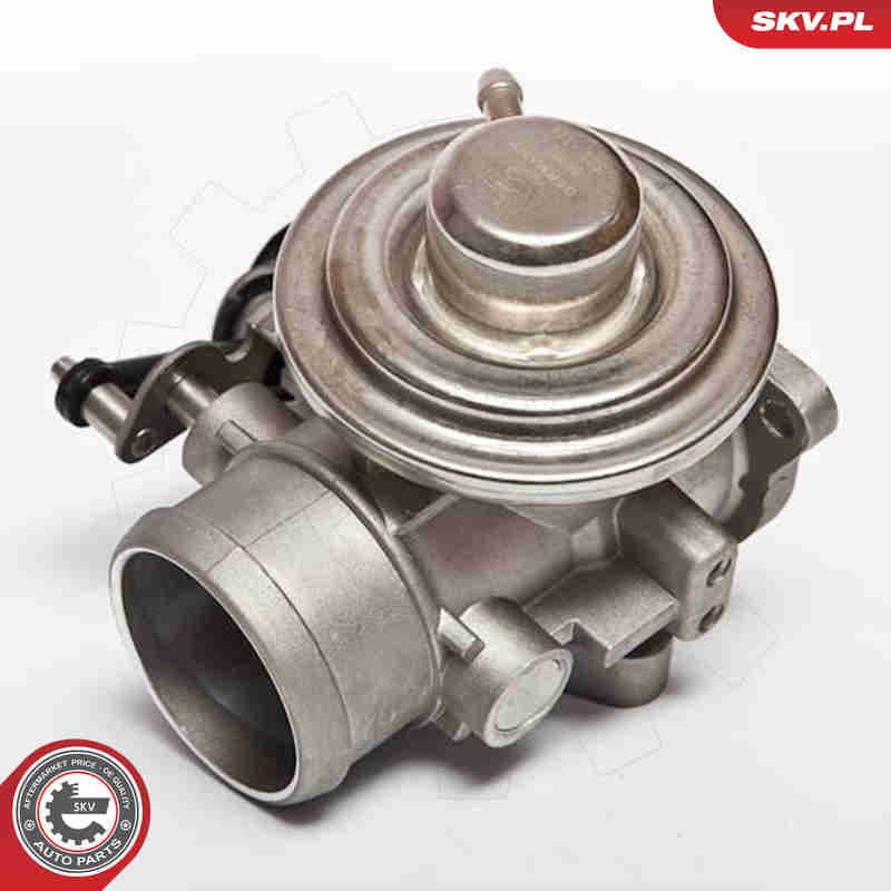 Image of EGR Valve