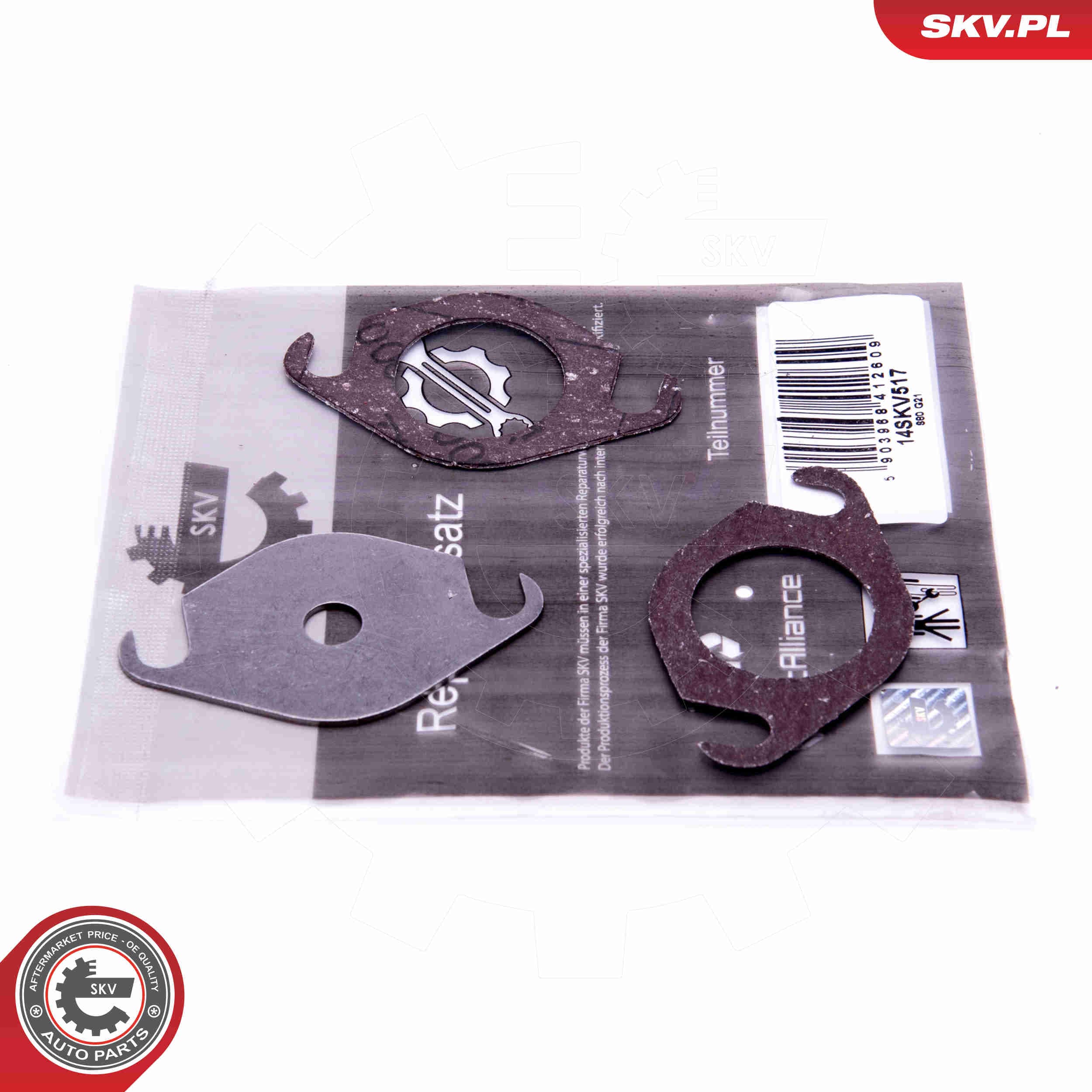 Image of Repair Set, EGR valve