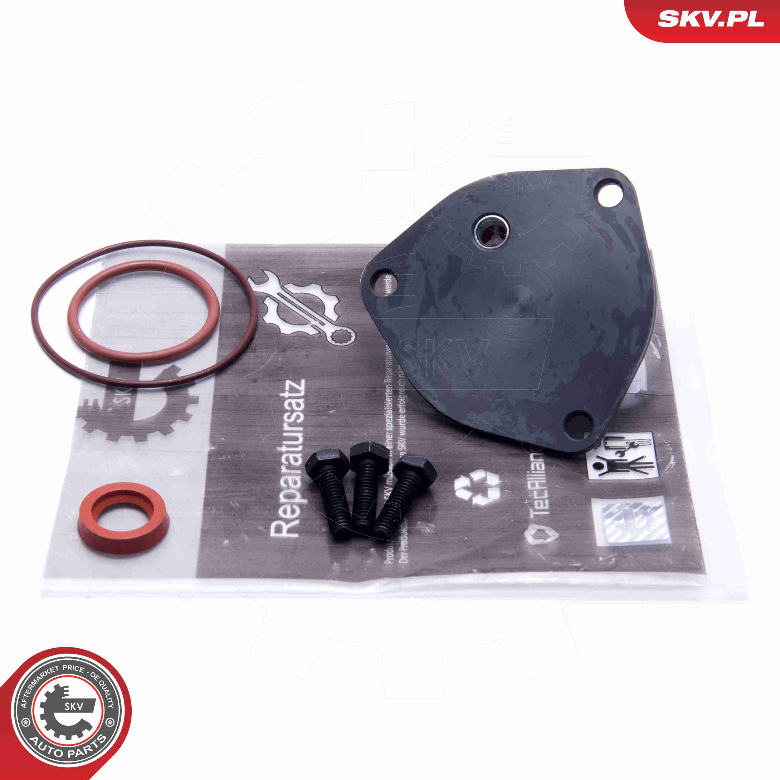 Image of Repair Set, vacuum pump (braking system)