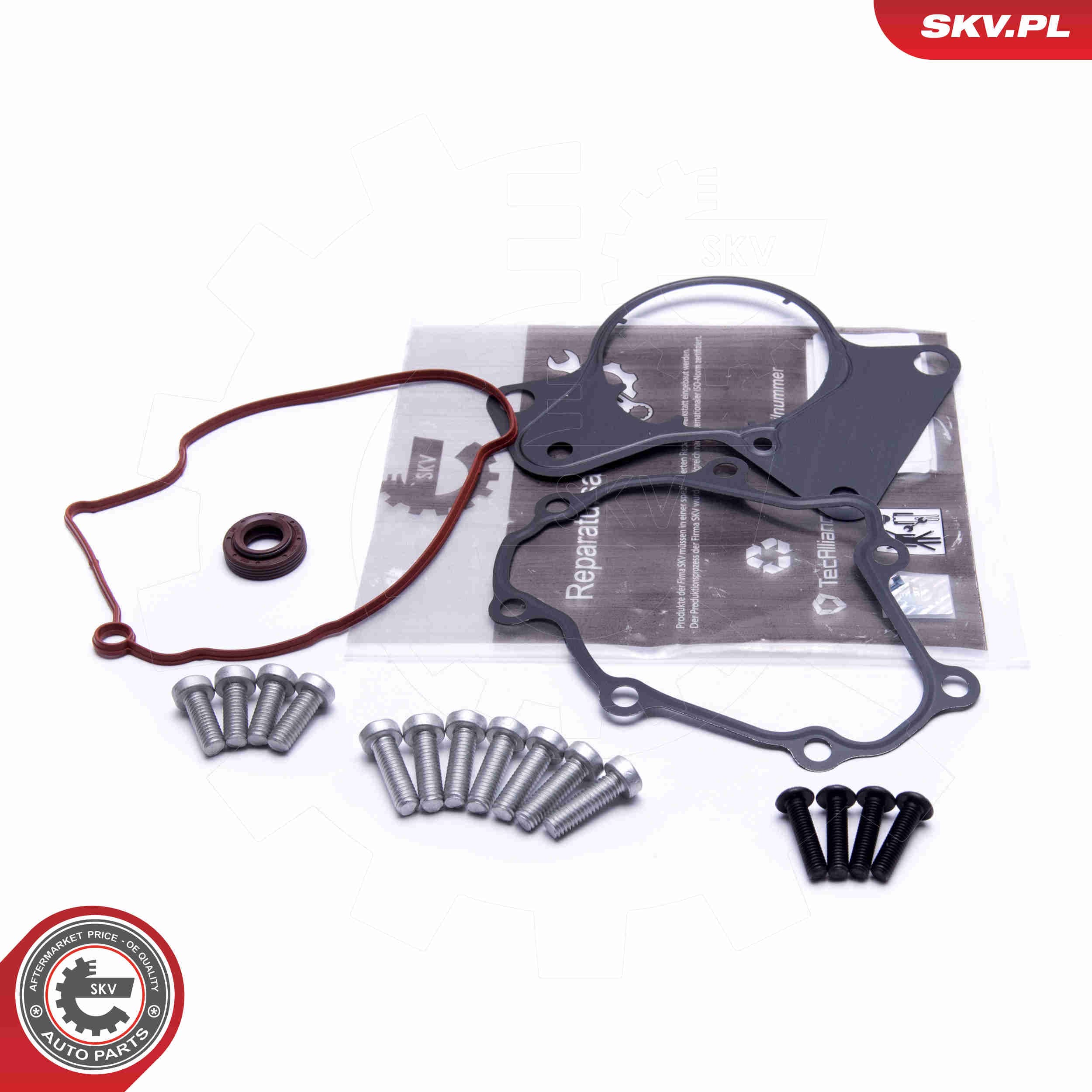 Image of Repair Set, vacuum pump (braking system)