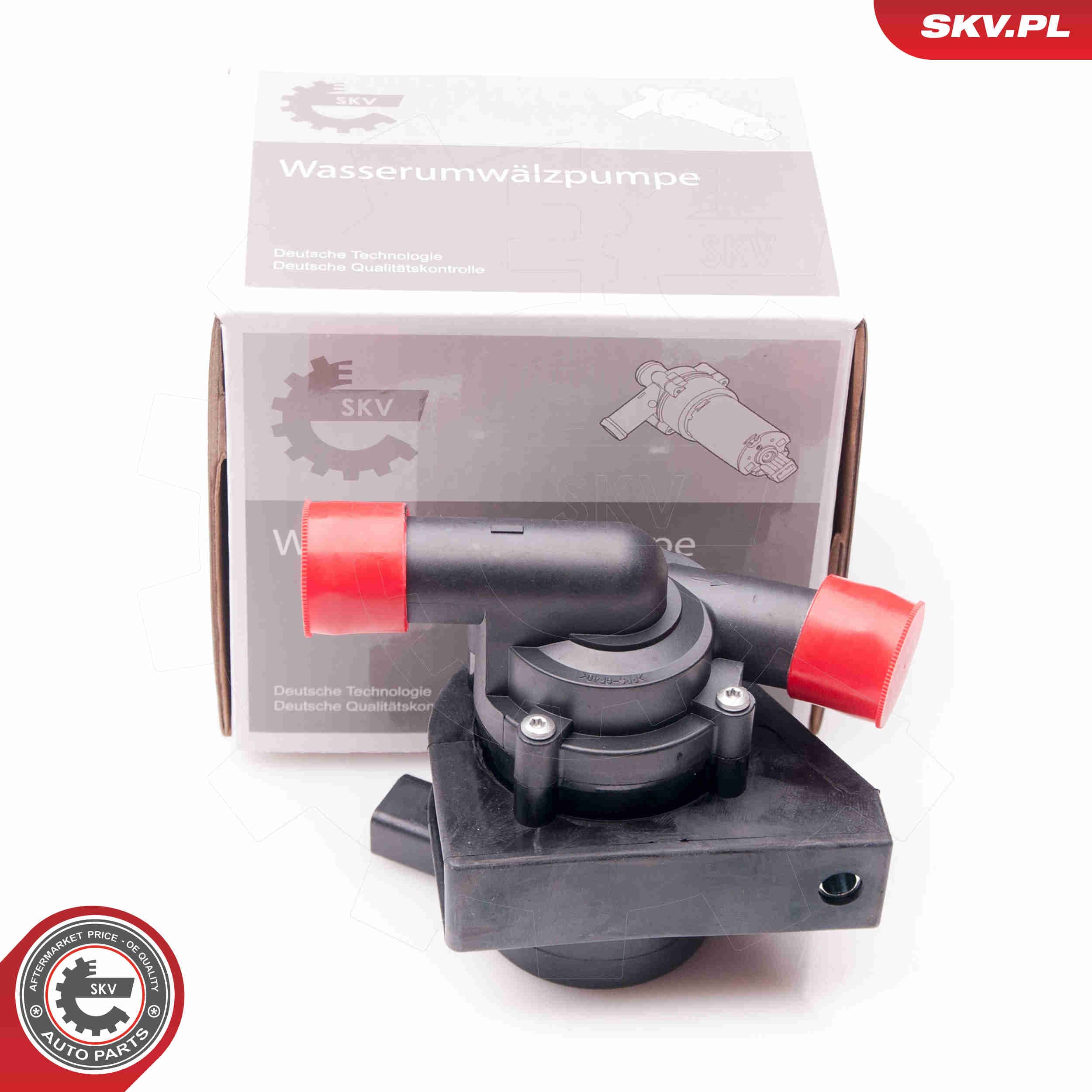 Image of Auxiliary Water Pump (cooling water circuit)