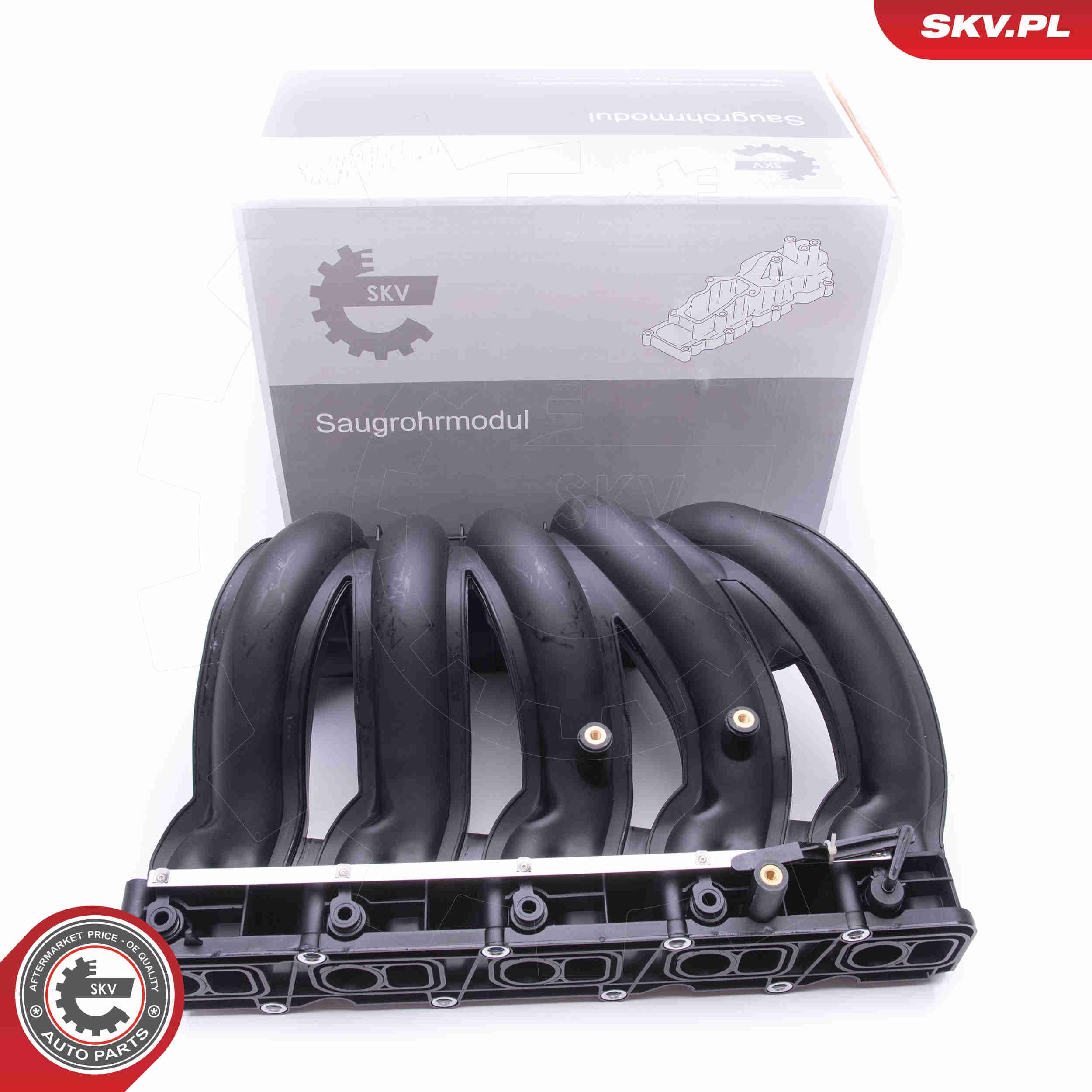 Image of Intake Manifold Module