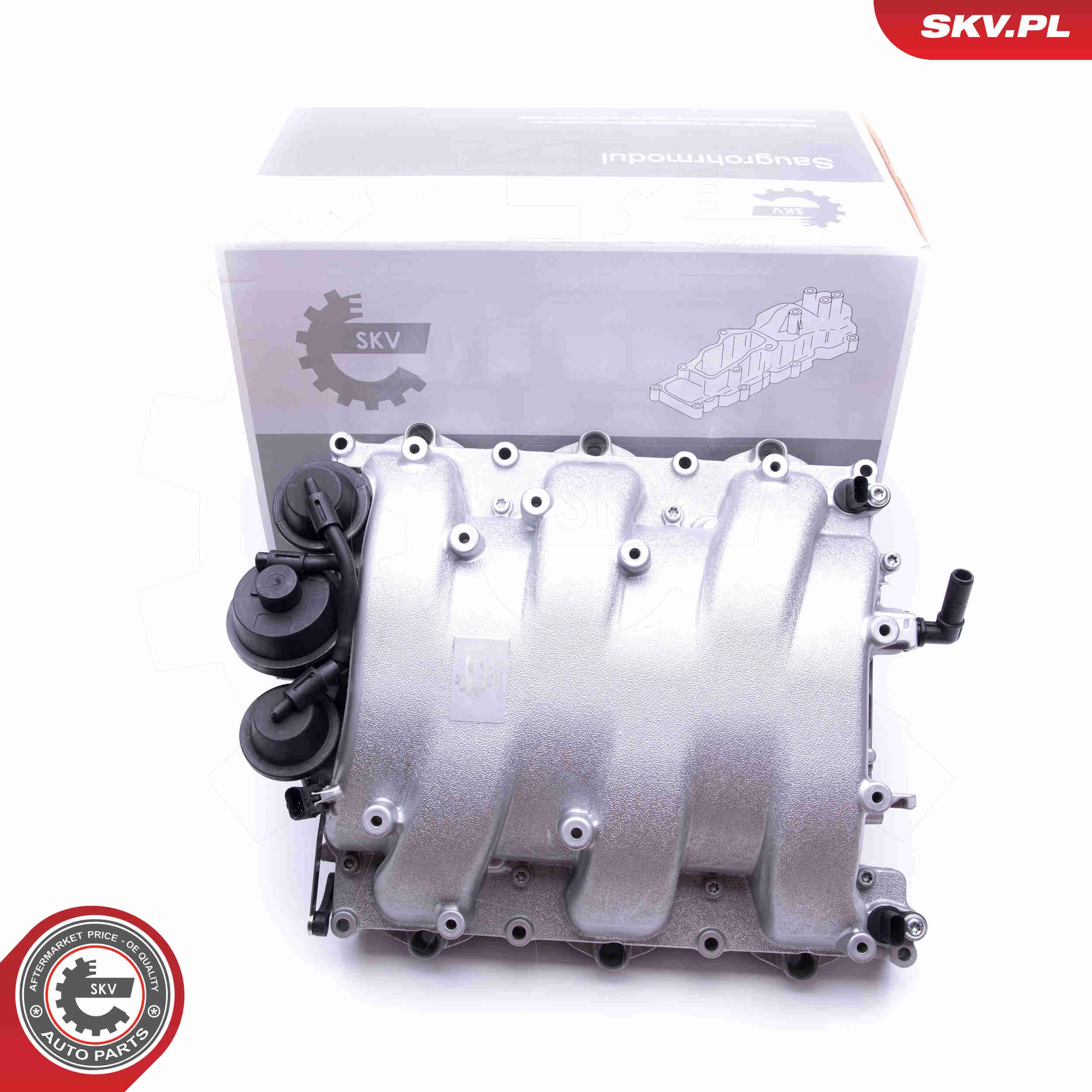 Image of Intake Manifold Module