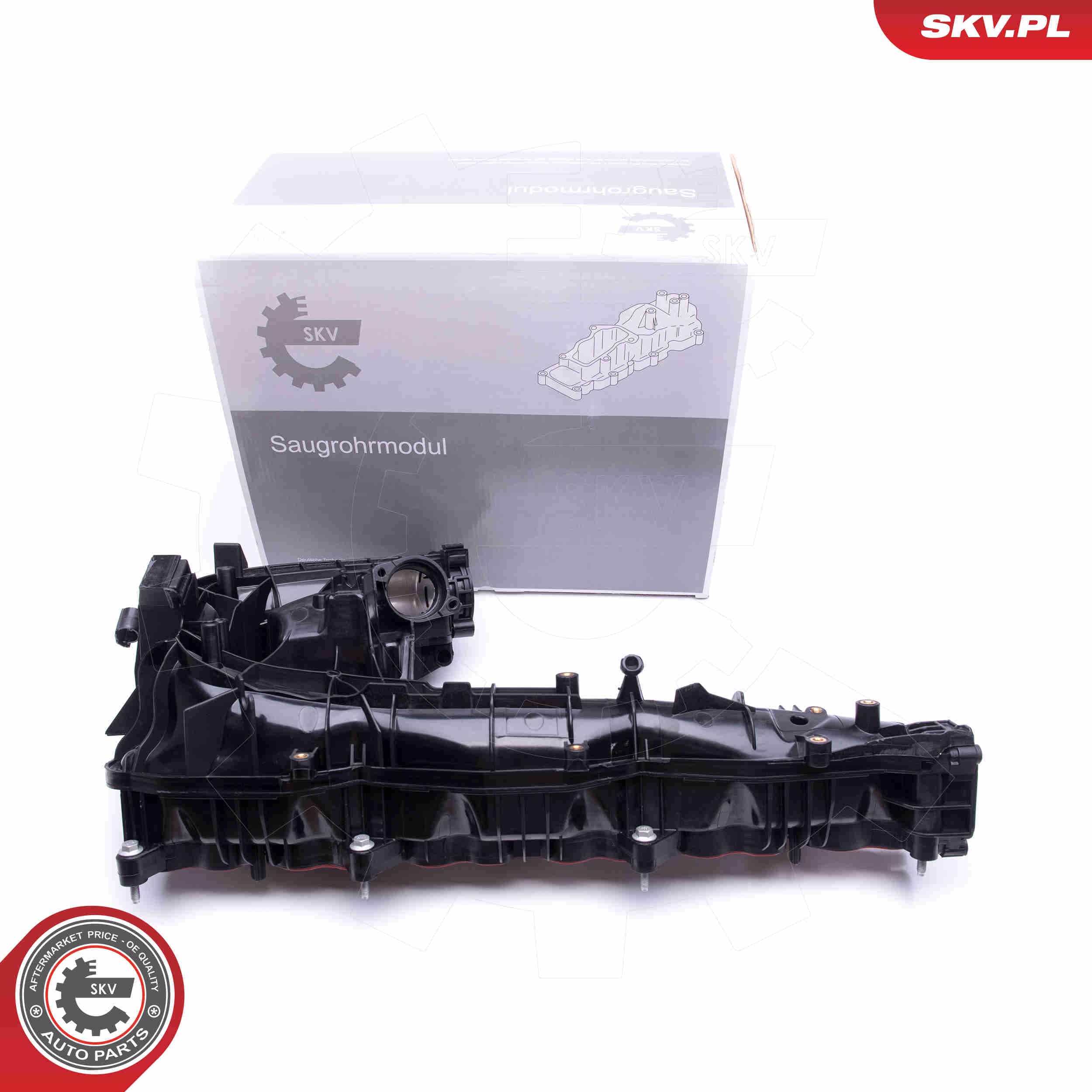 Image of Intake Manifold Module