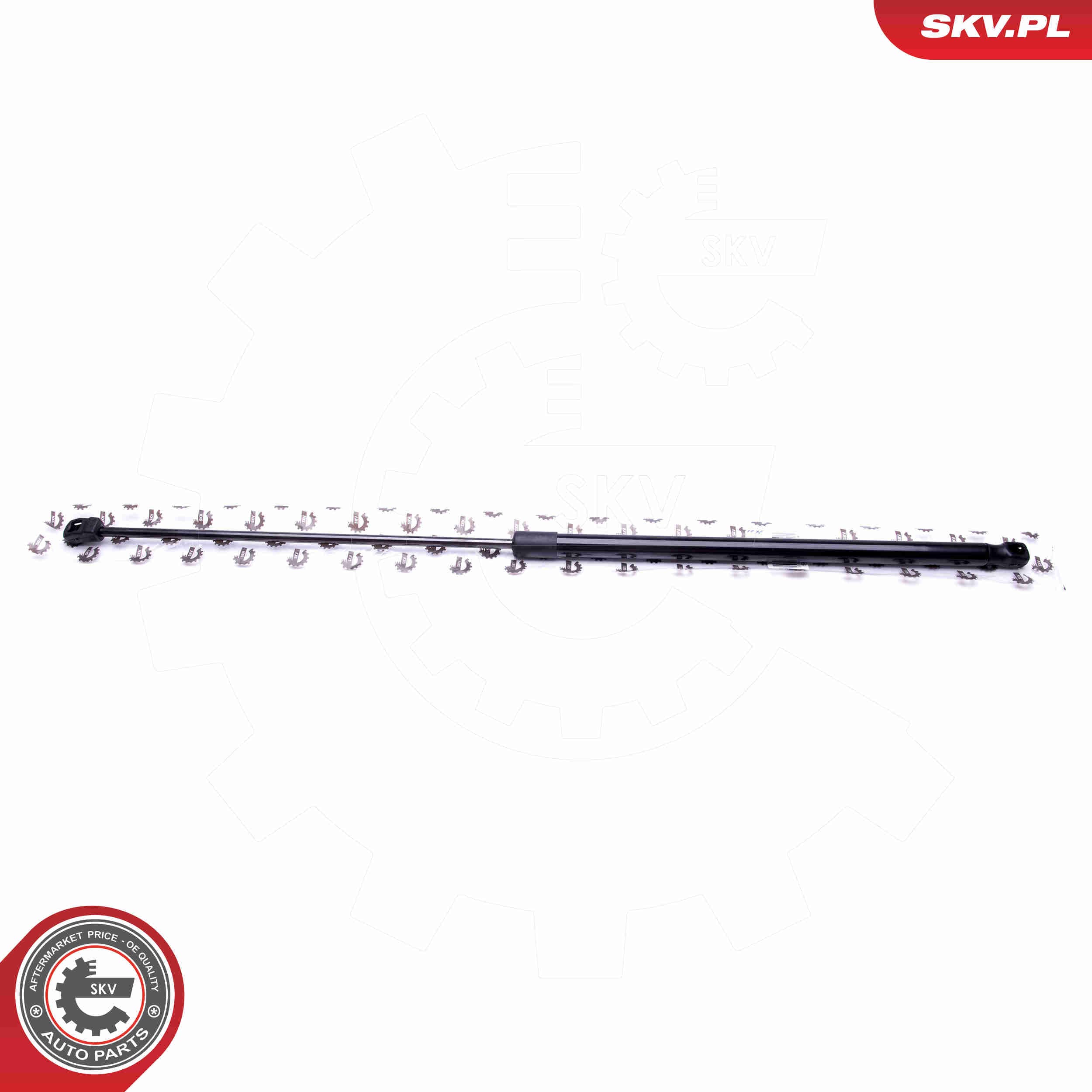 Image of Gas Spring, bonnet