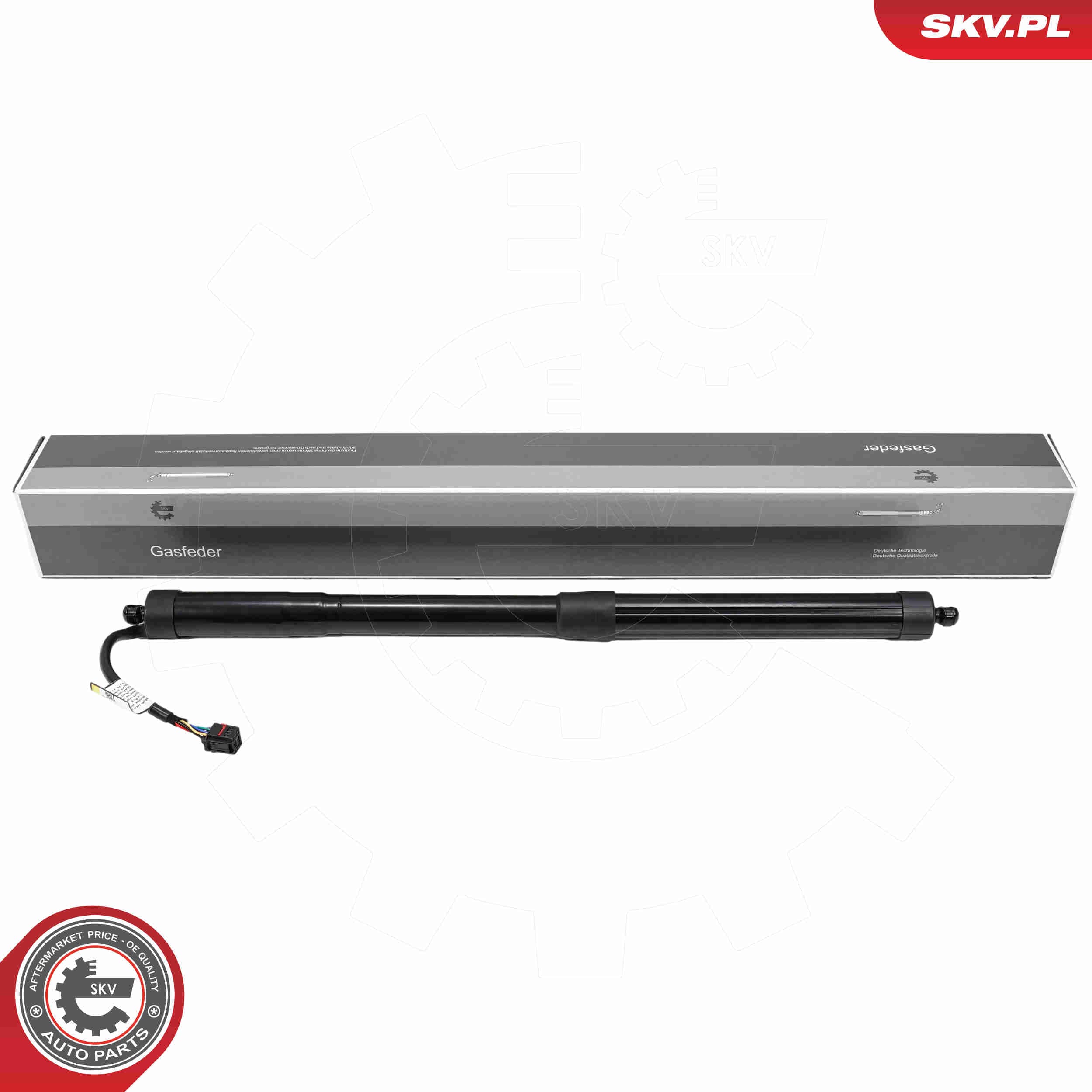 Image of Electric Motor, tailgate