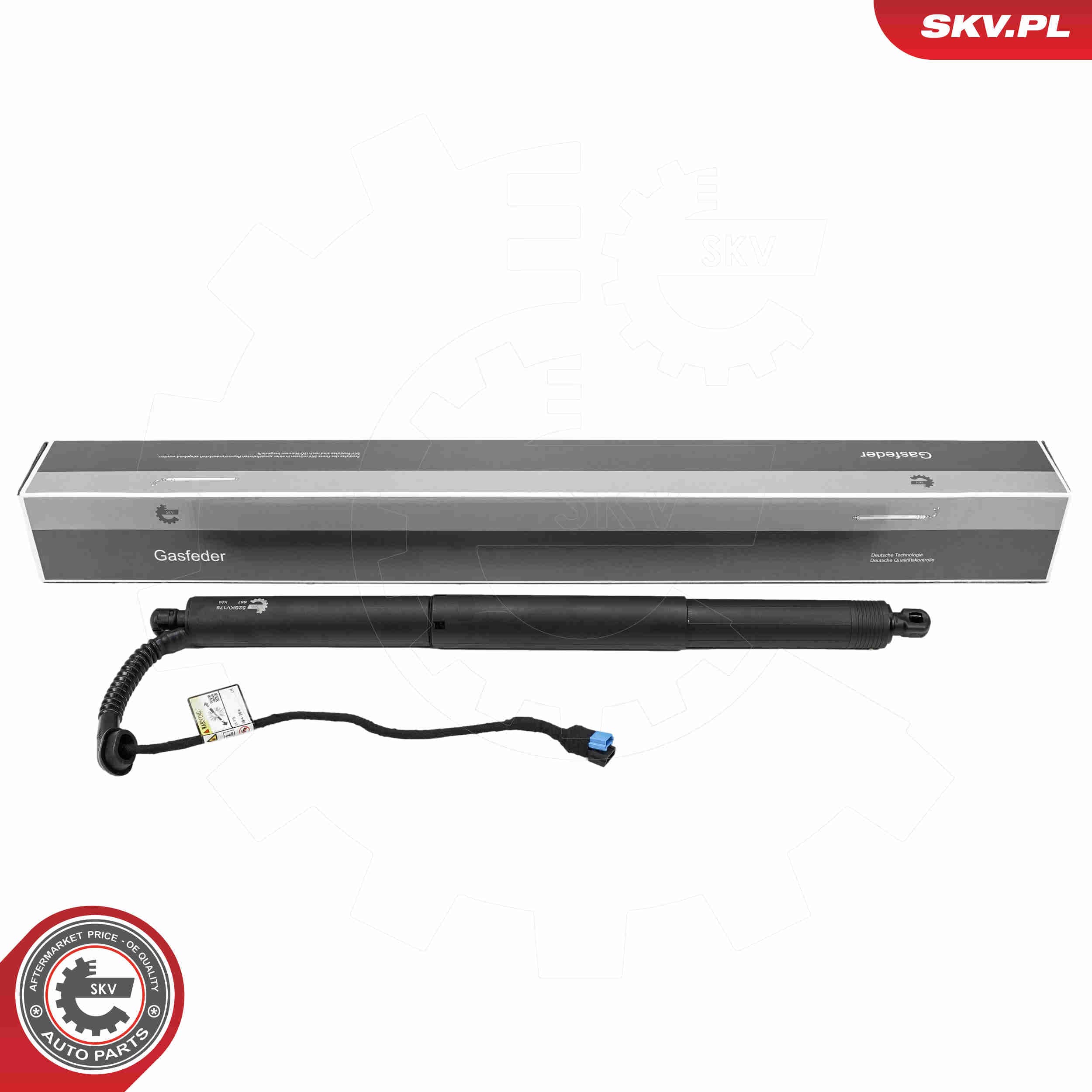 Image of Electric Motor, tailgate