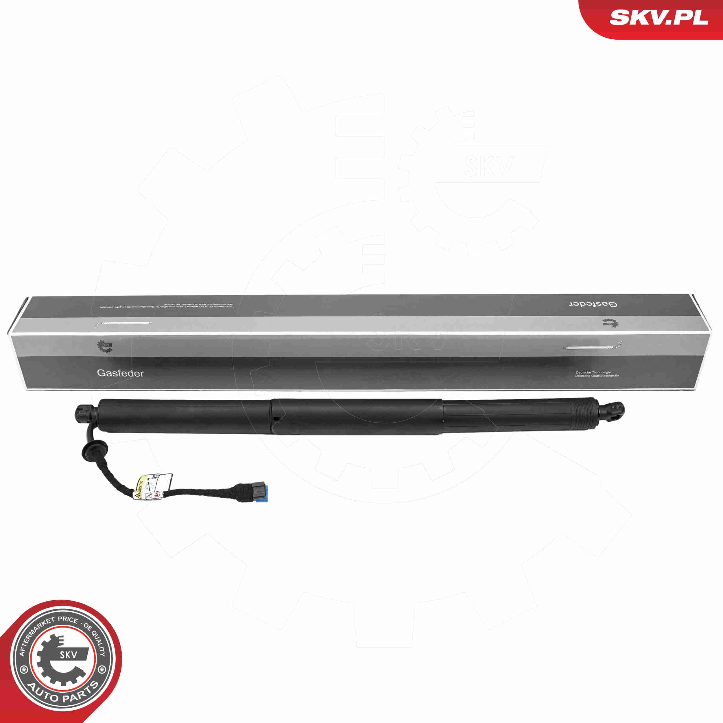 Image of Electric Motor, tailgate