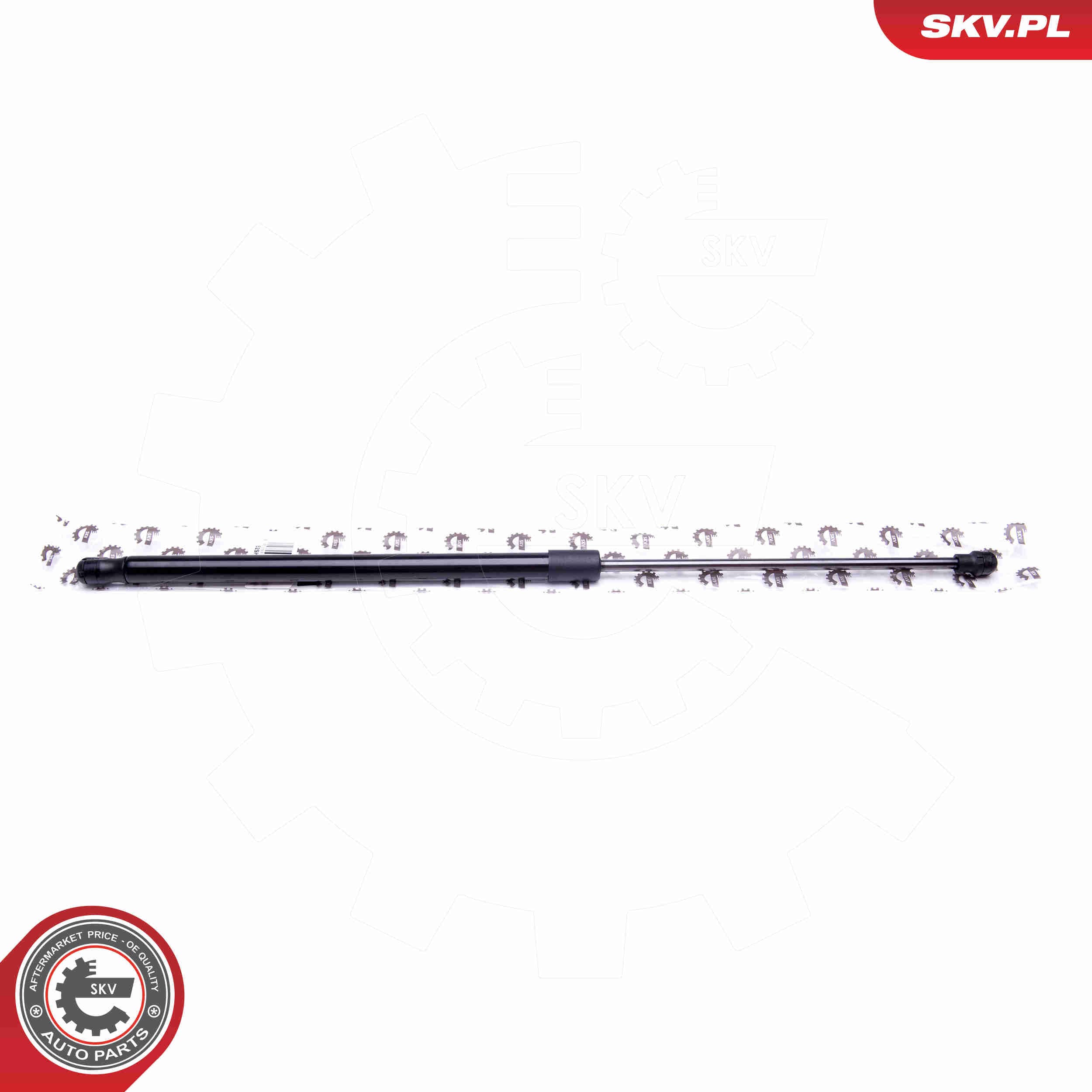 Image of Gas Spring, boot/cargo area