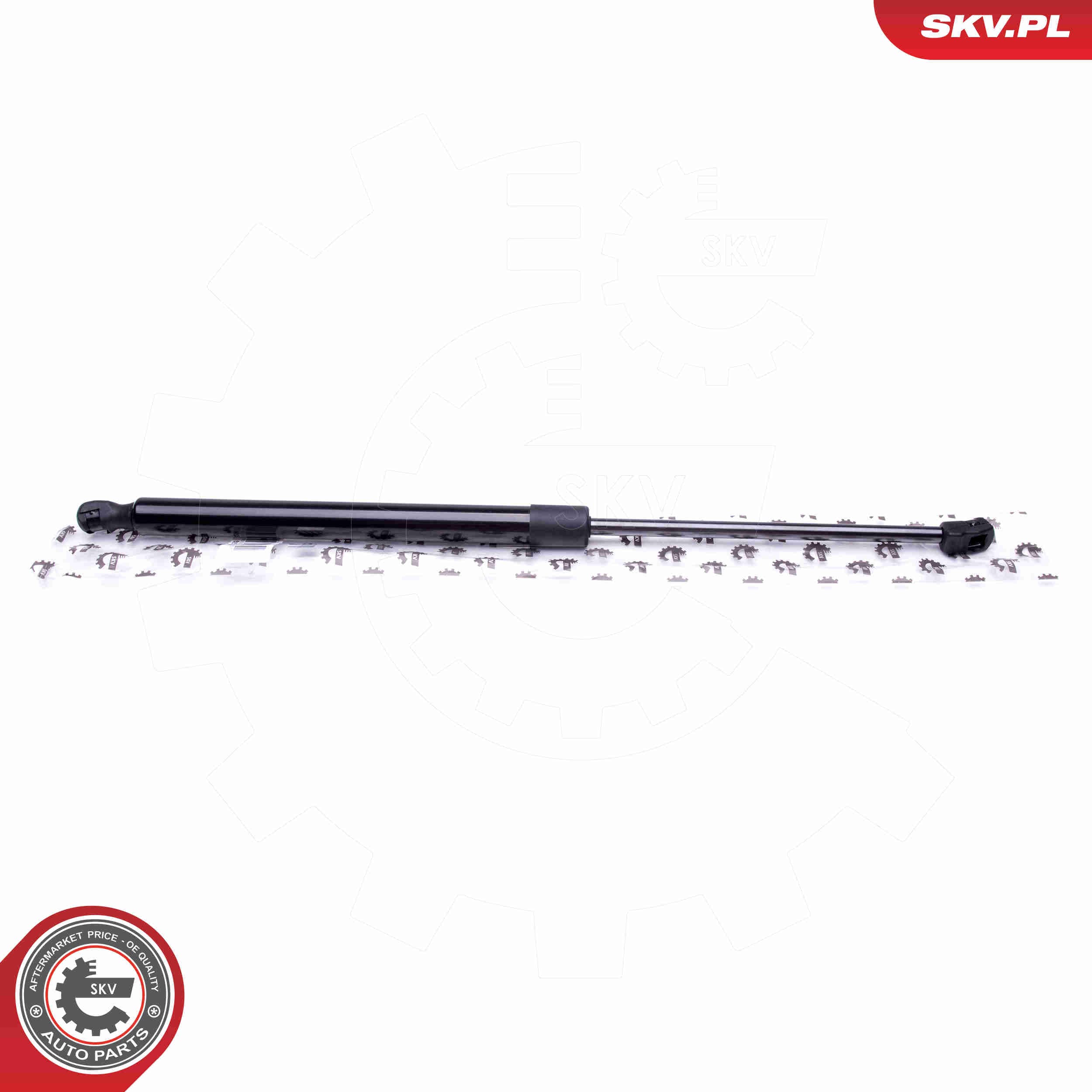 Image of Gas Spring, boot/cargo area