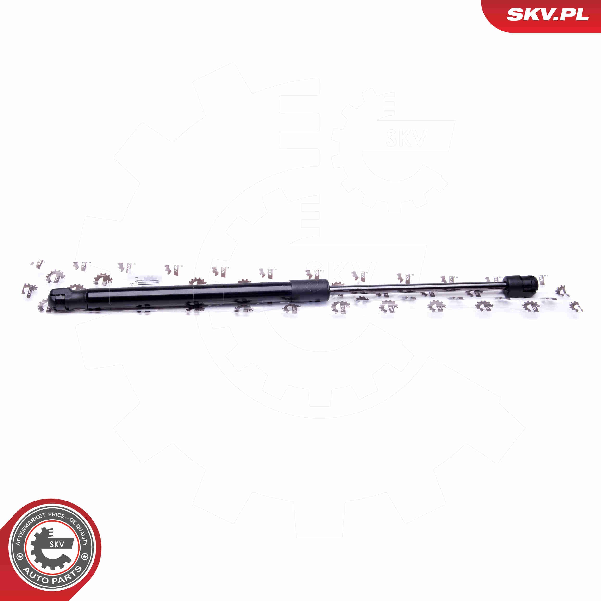 Image of Gas Spring, boot/cargo area