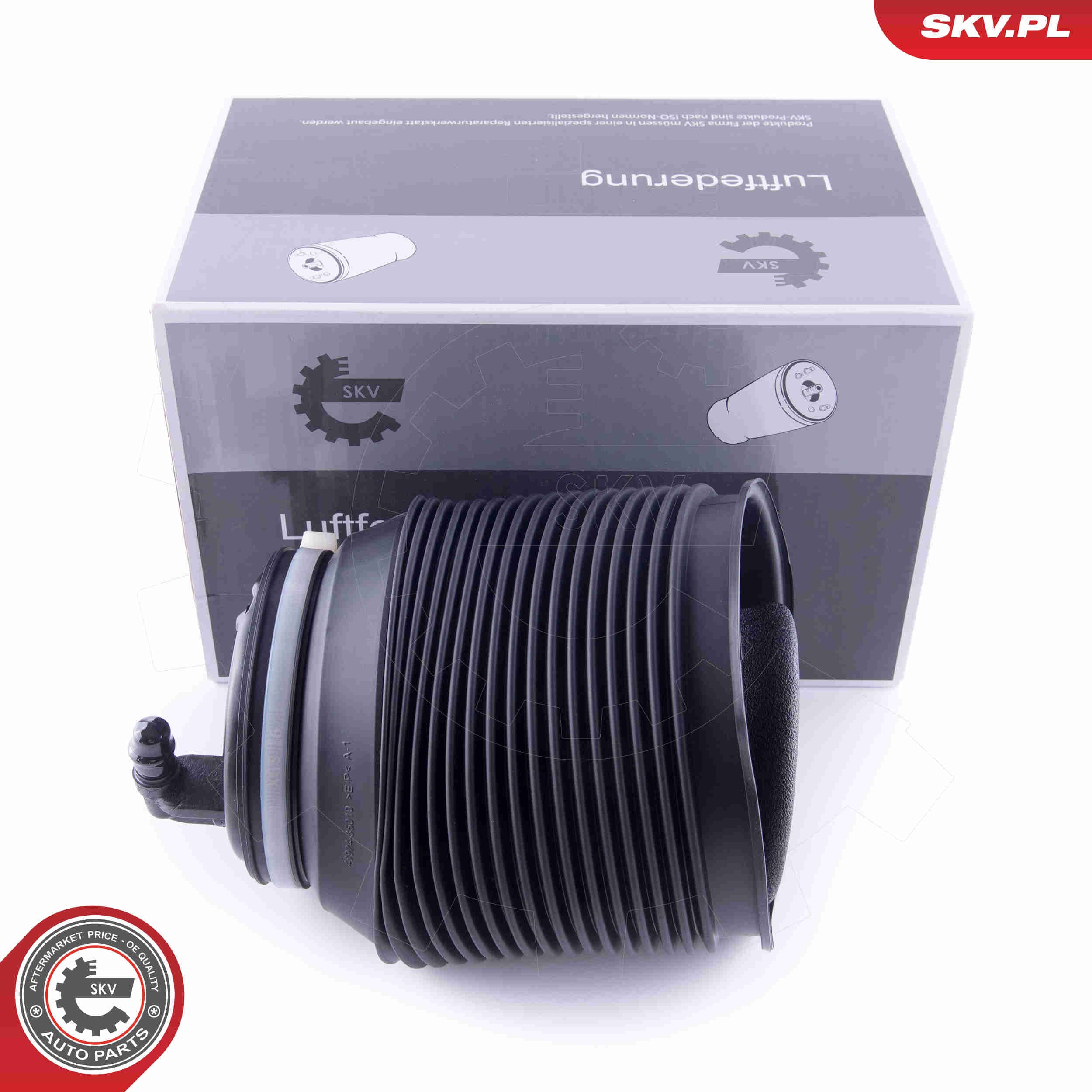 Image of Poduszka powietrzna, zawieszenie