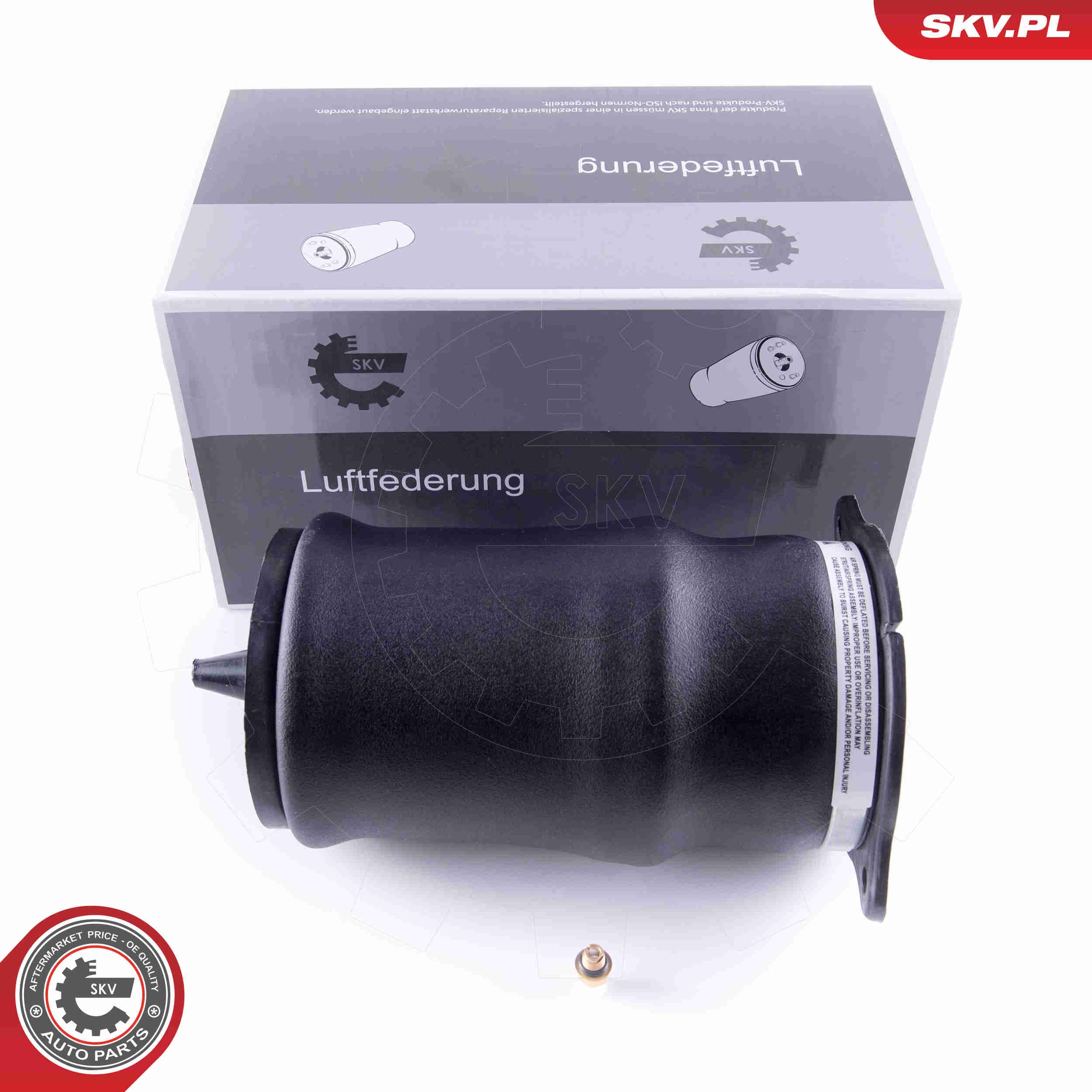 Image of Poduszka powietrzna, zawieszenie